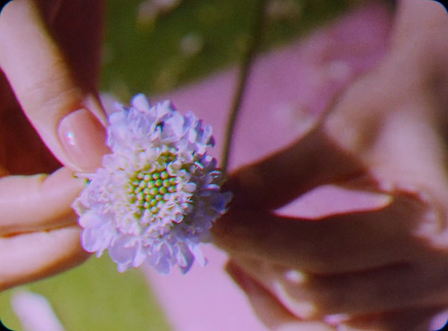 Mamonde l Brand film (2024) —  shot,  lighting