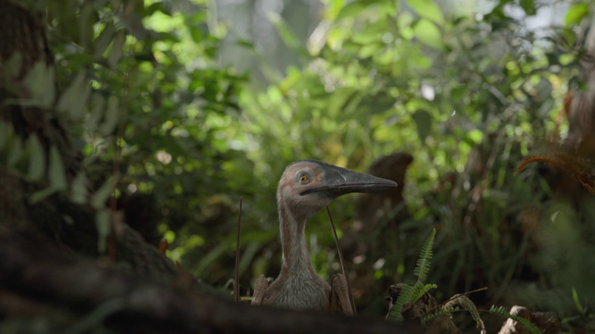 Swamps (2023) —  shot,  lighting