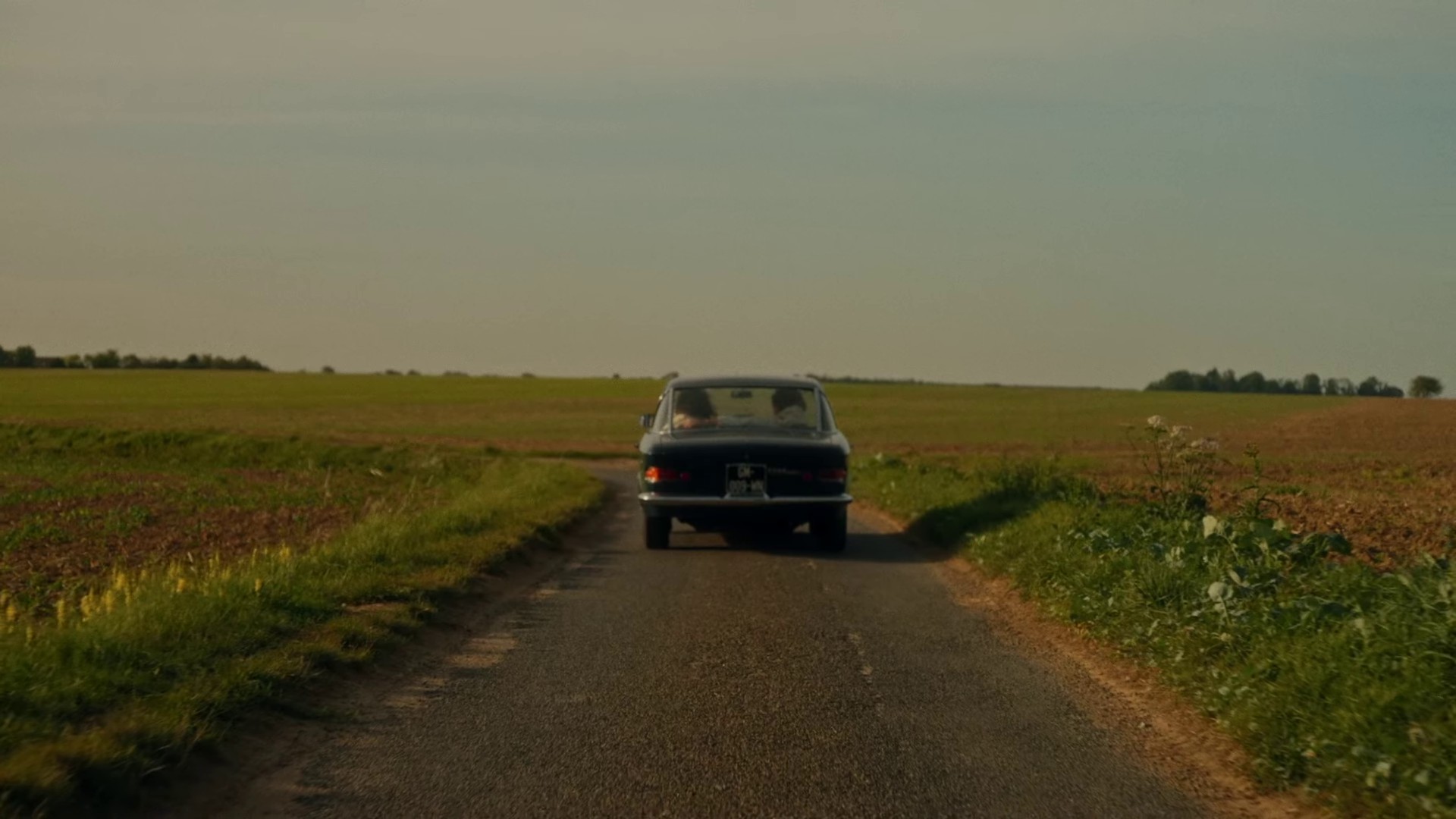 HORNS (2023) —  shot,  lighting