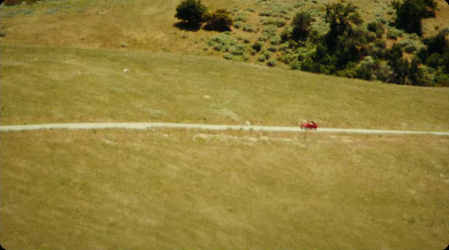 can't slow down (2024) —  shot,  lighting