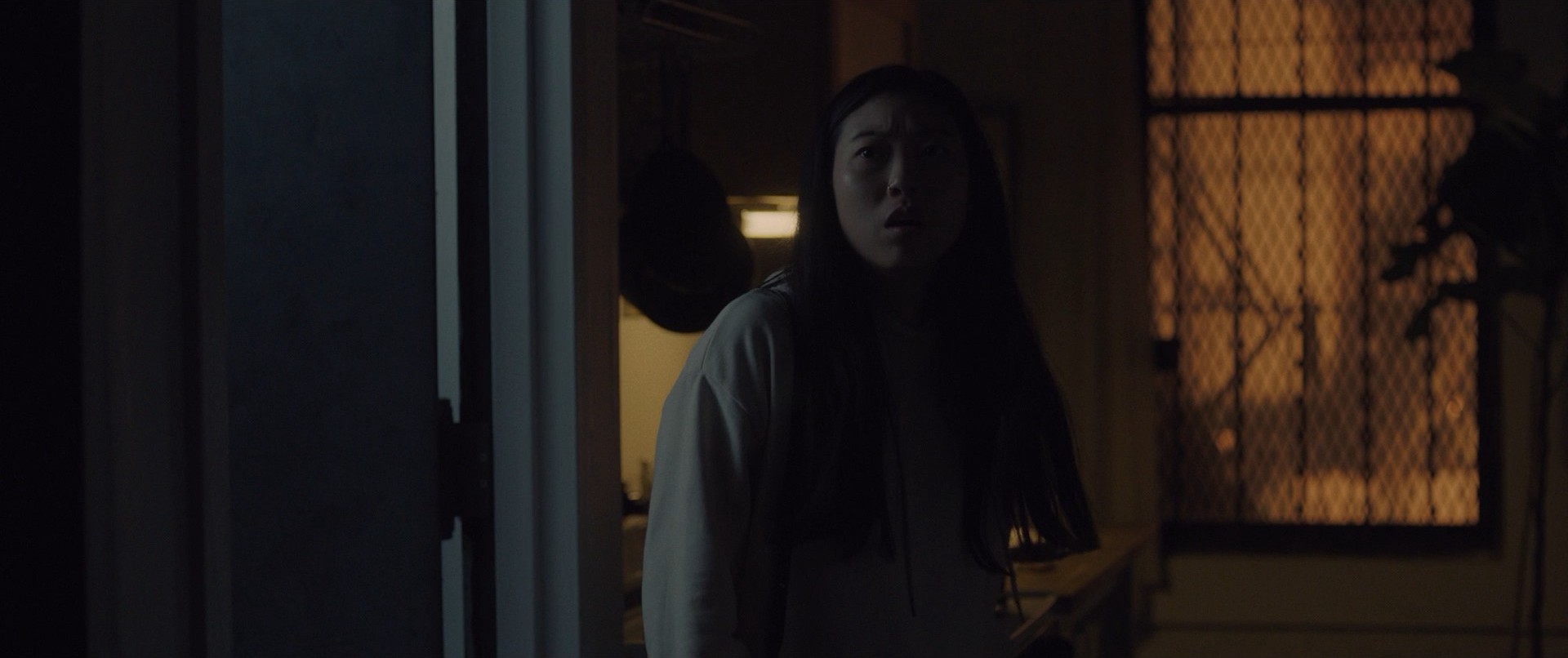 The Farewell (2019) —  shot,  lighting