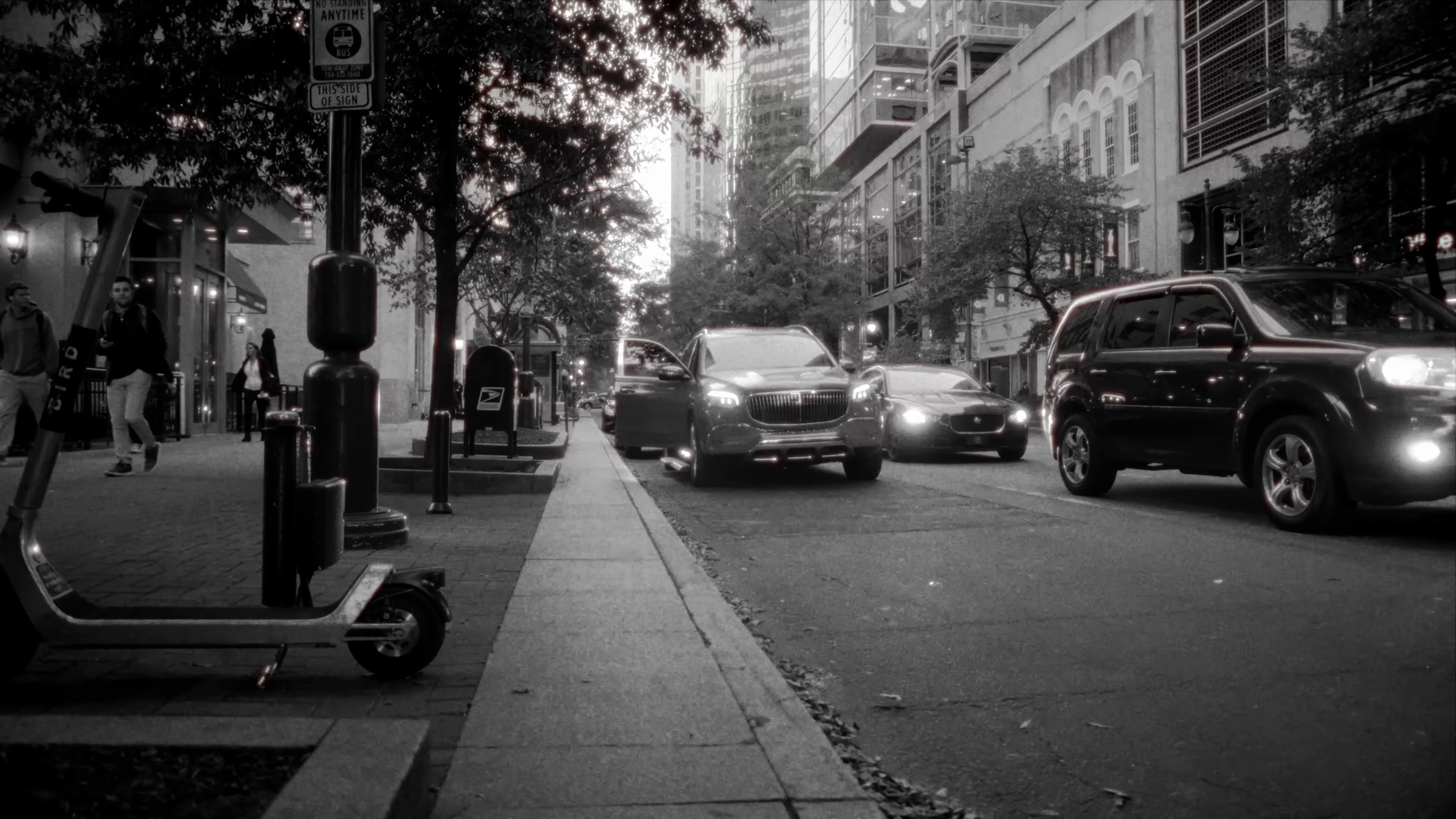 REINTRODUCTION (2024) —  shot,  lighting