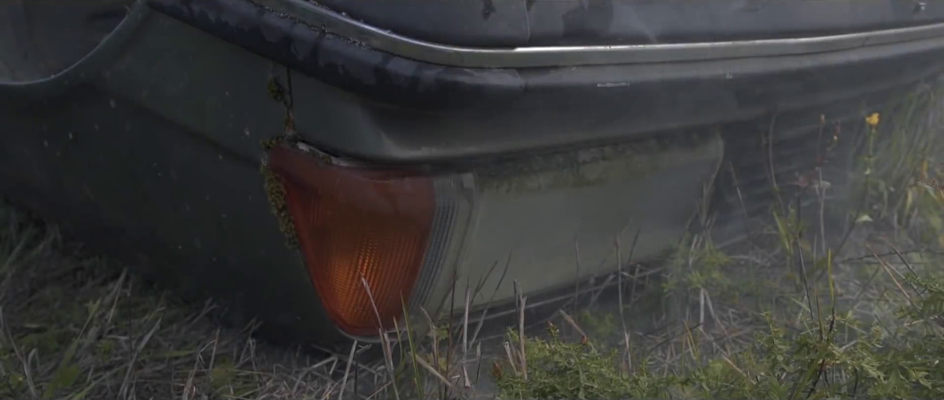 7:77 AM (2015) —  shot,  lighting