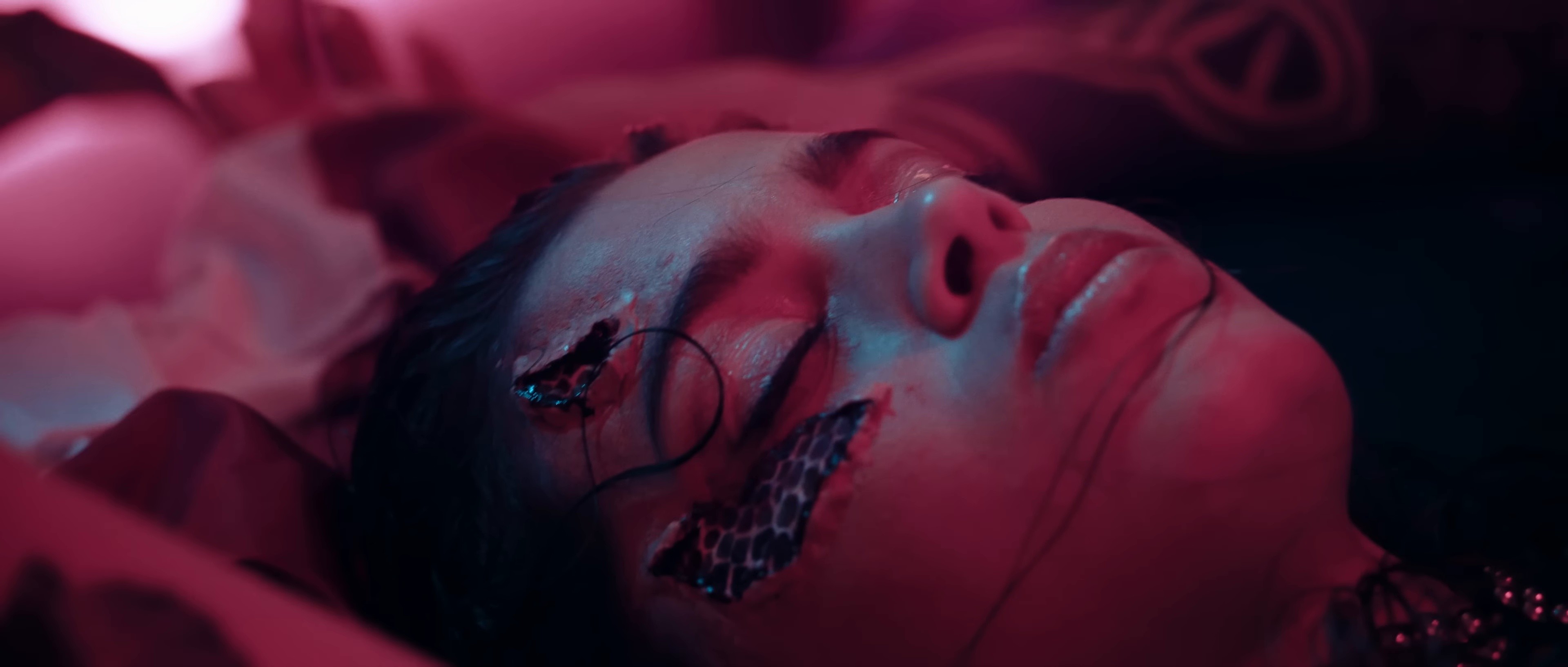 ANIMAL (2020) —  shot,  lighting