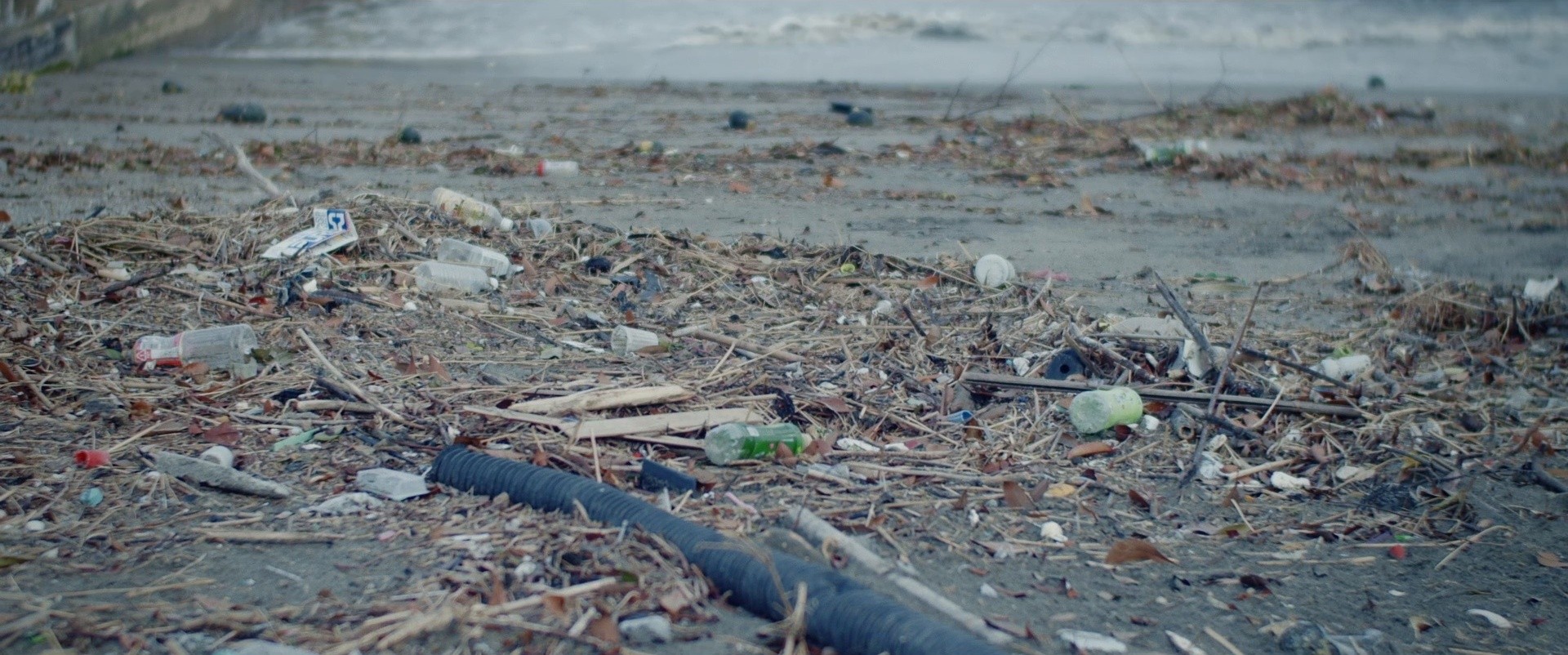 A Girl on the Shore (2021) —  shot,  lighting