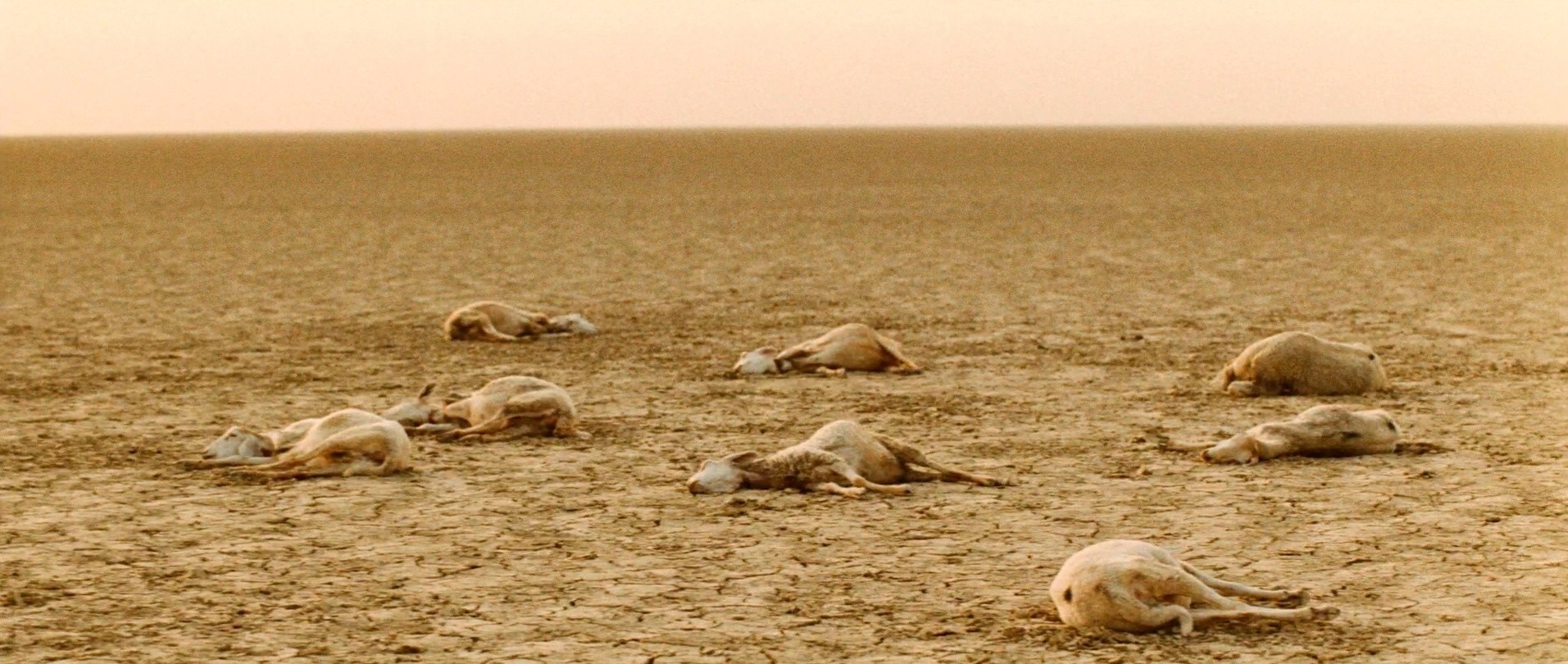 Chronicle of the Years of Fire (1975) —  shot,  lighting