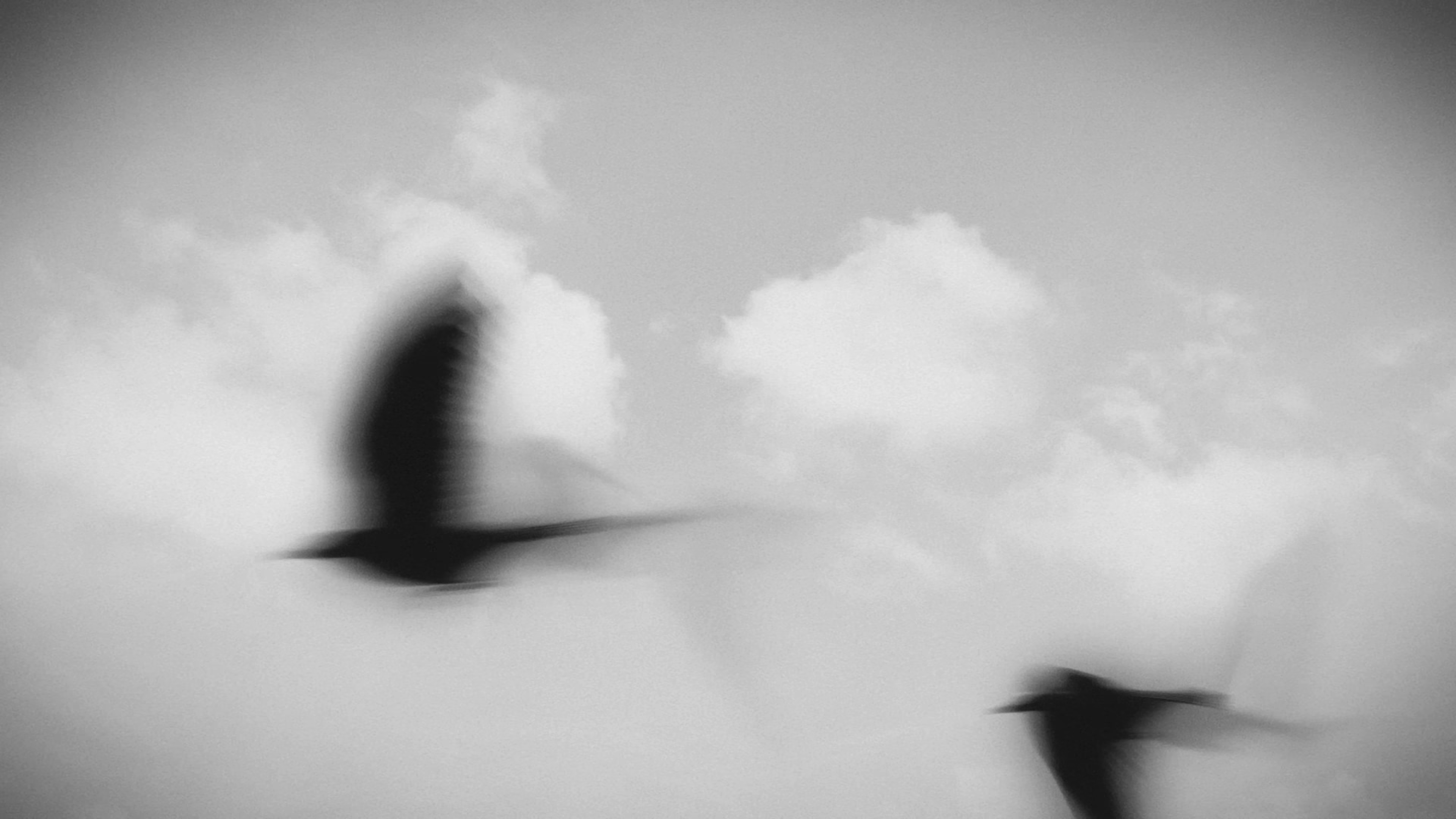 Can't Go Back (2023) —  shot,  lighting