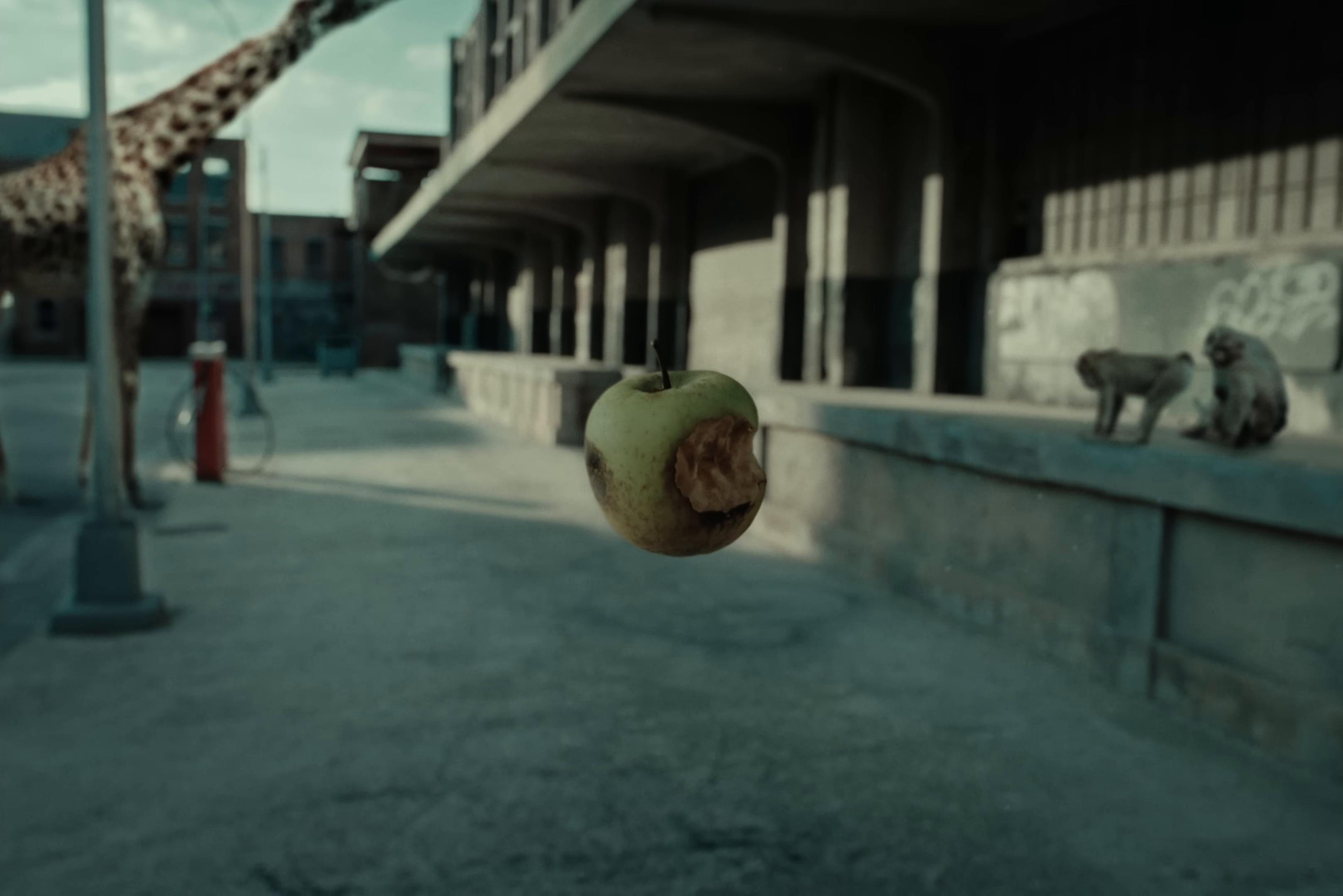 Maledetta Rabbia (2025) —  shot,  lighting