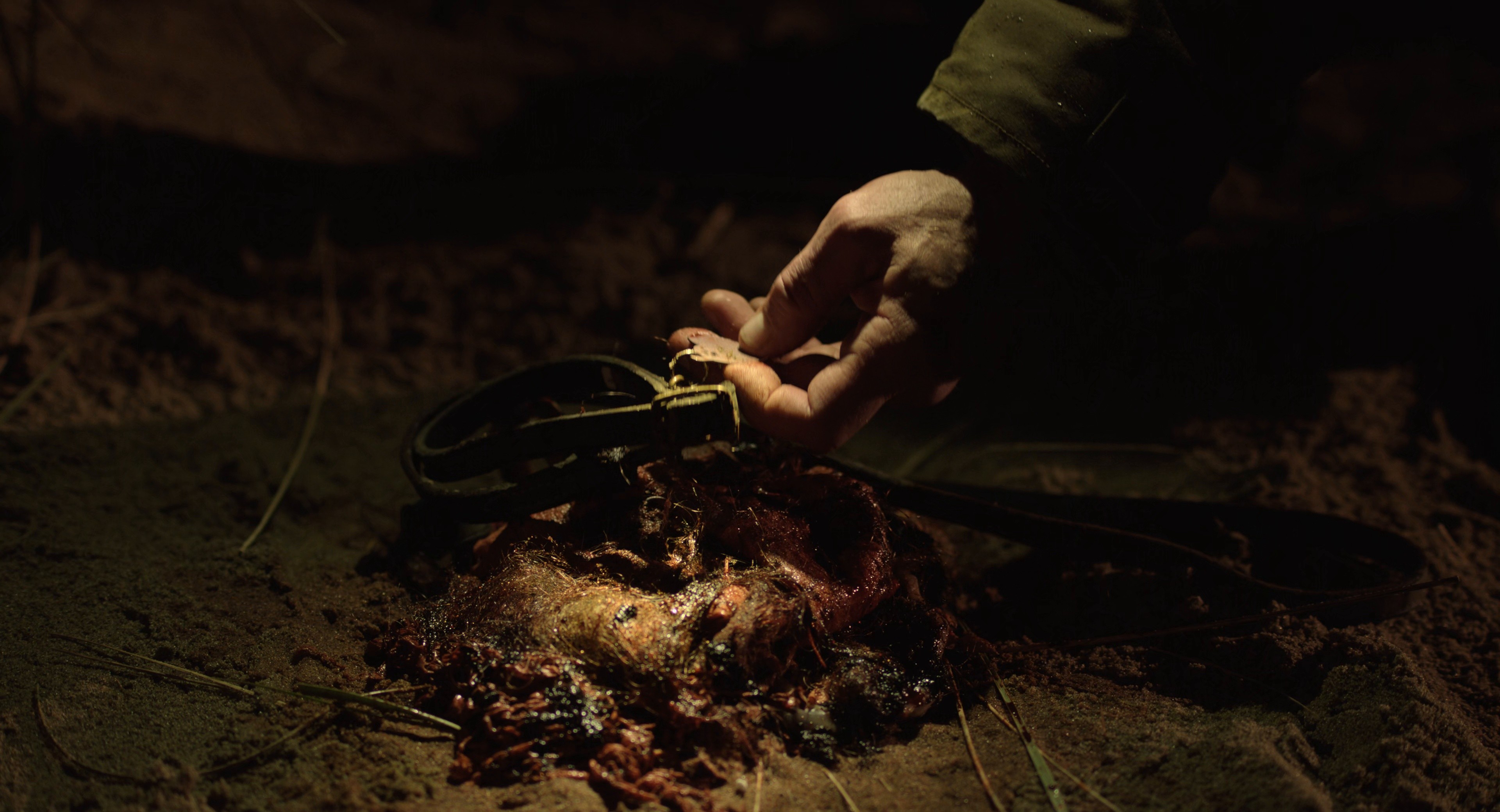 Alma and the Wolf (2025) —  shot,  lighting