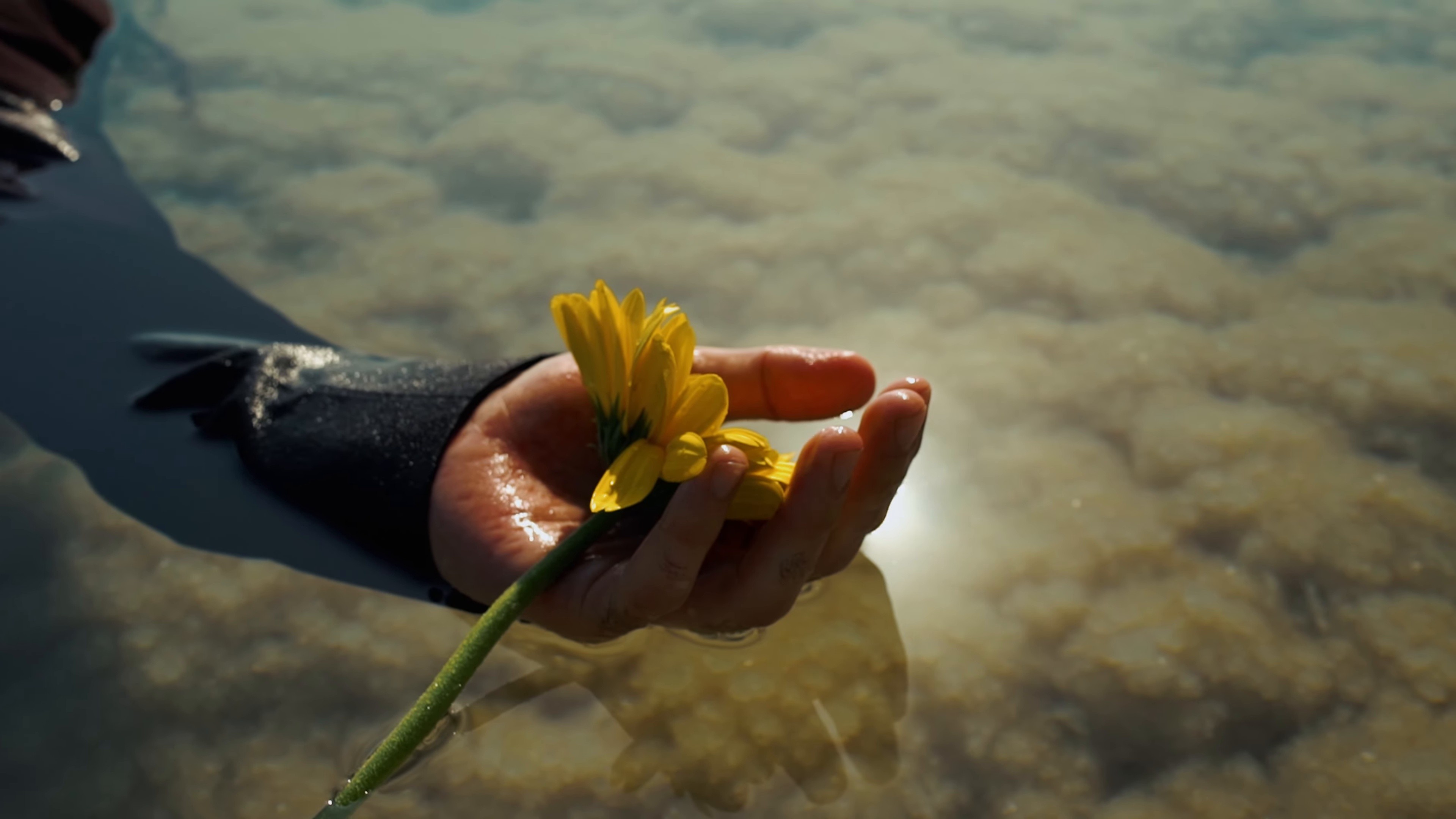 Seven Years (2025) —  shot,  lighting