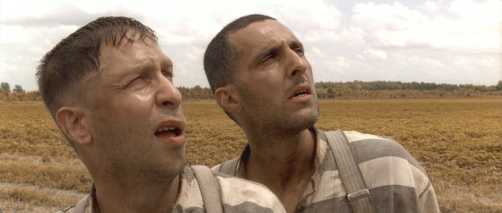 O Brother, Where Art Thou? (2000) —  shot,  lighting