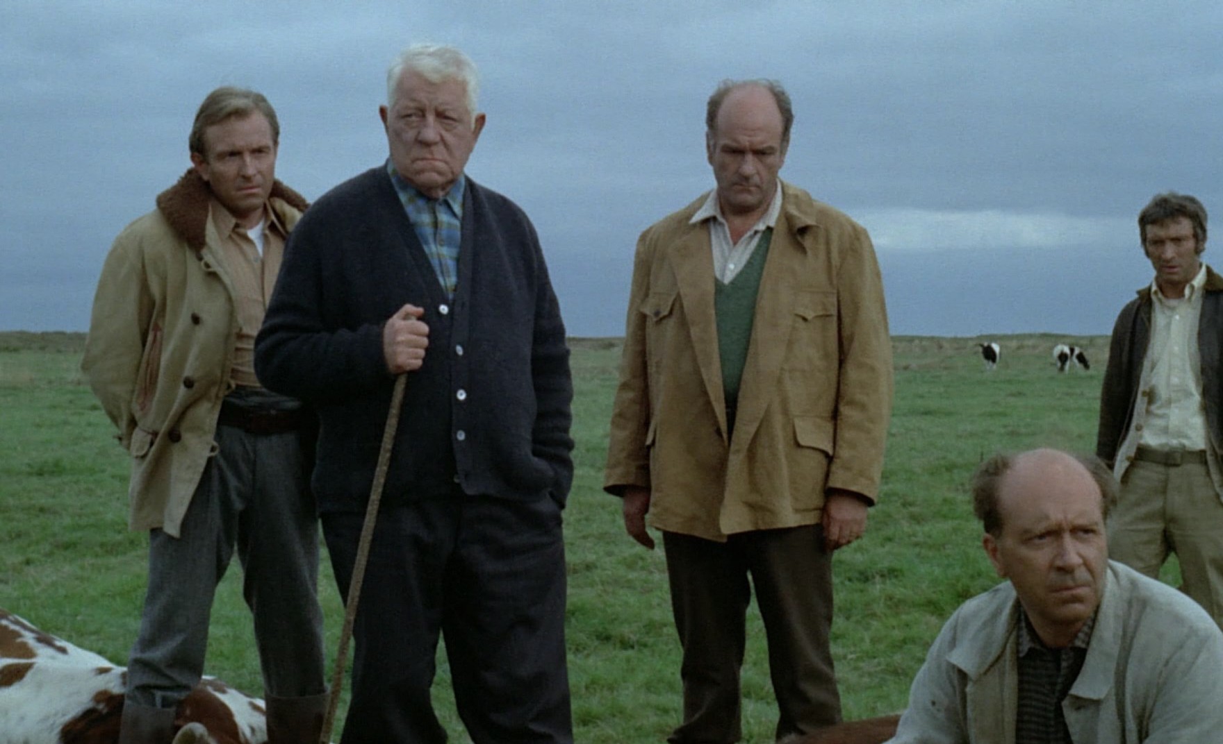 La horse (1970) —  shot,  lighting