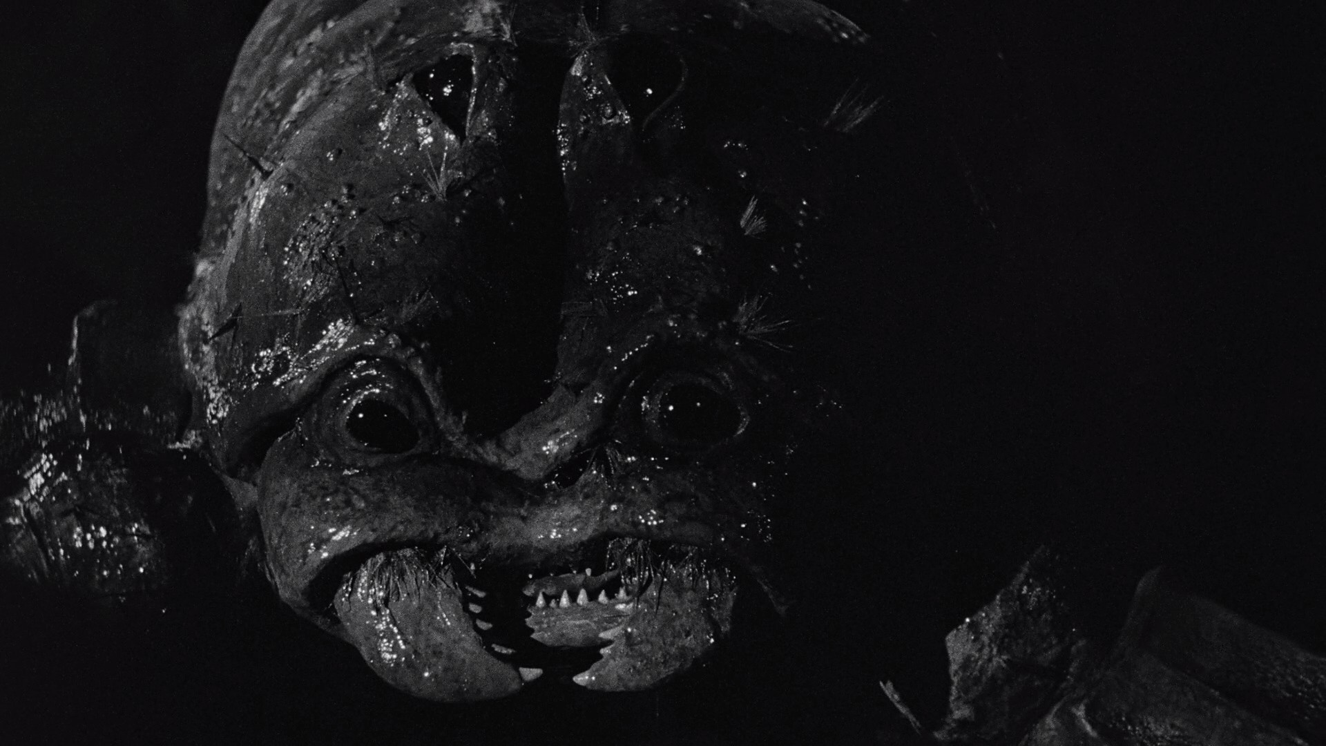 The Black Scorpion (1957) —  shot,  lighting