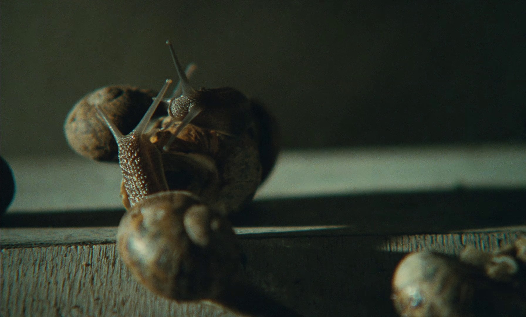 Eaux profondes (1981) —  shot,  lighting