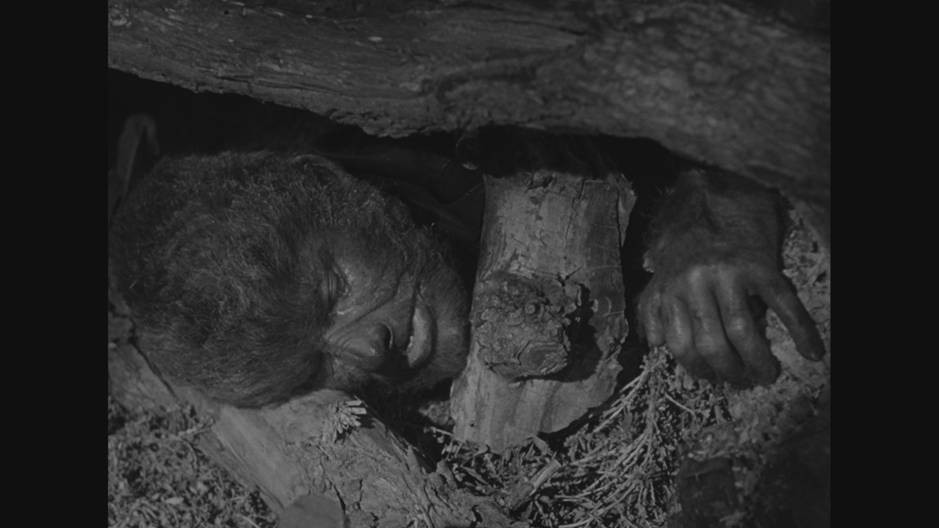 Abbott and Costello Meet Frankenstein (1948) —  shot,  lighting