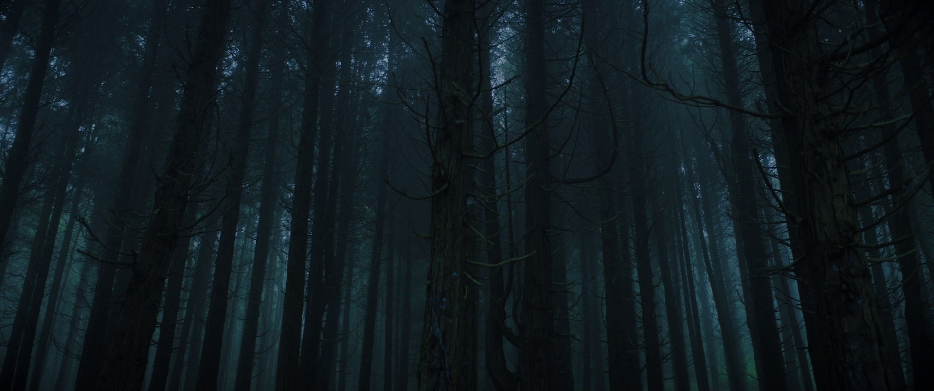 Color Out of Space (2019) —  shot,  lighting