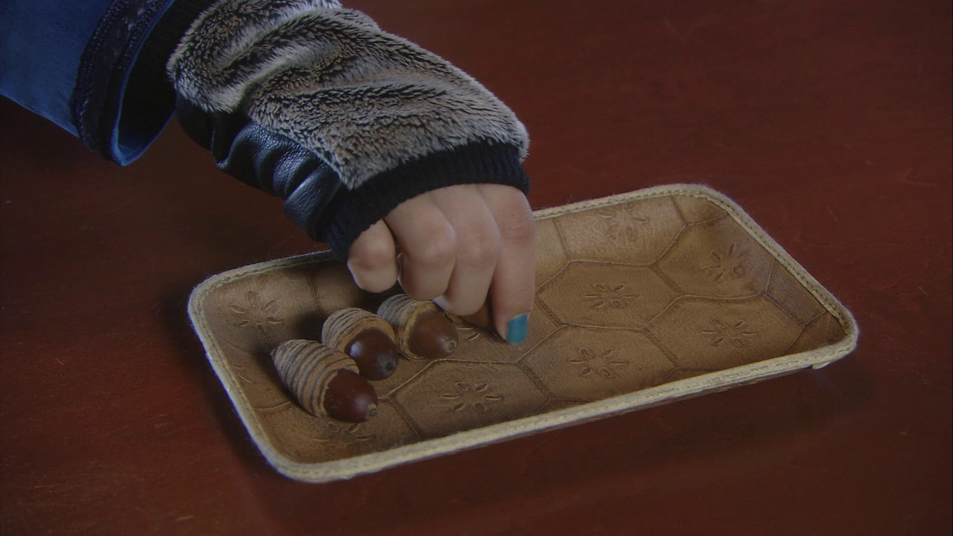 The warped forest (2011) —  shot,  lighting