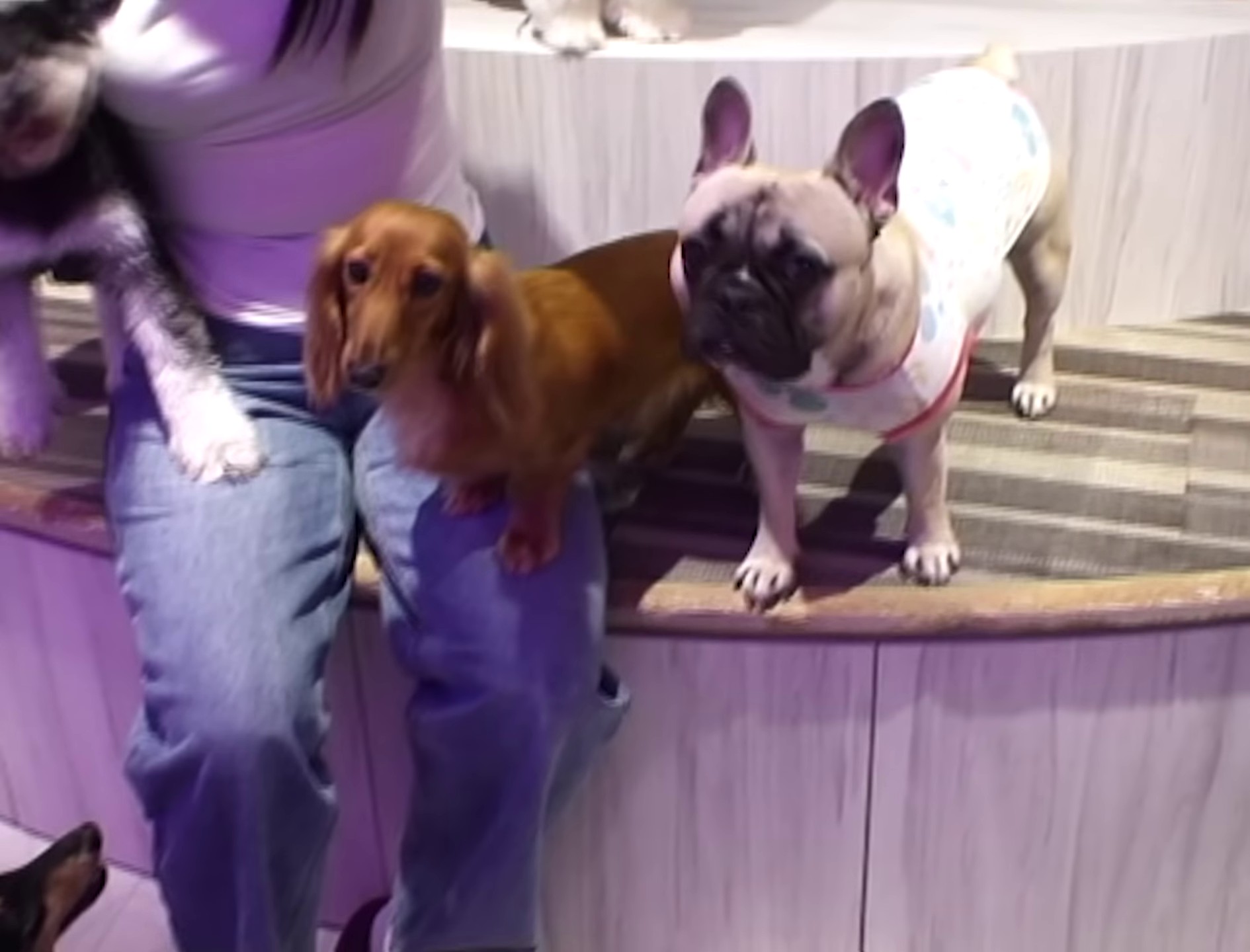 Can't forget (2023) —  shot,  lighting