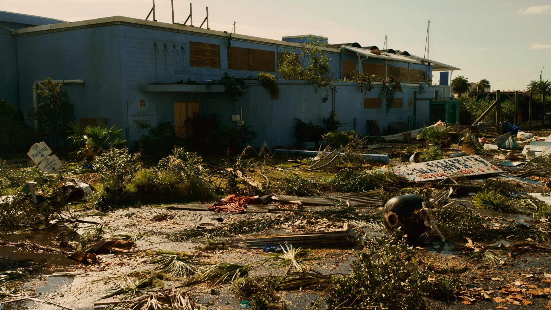 Dolphin Tale (2011) —  shot,  lighting