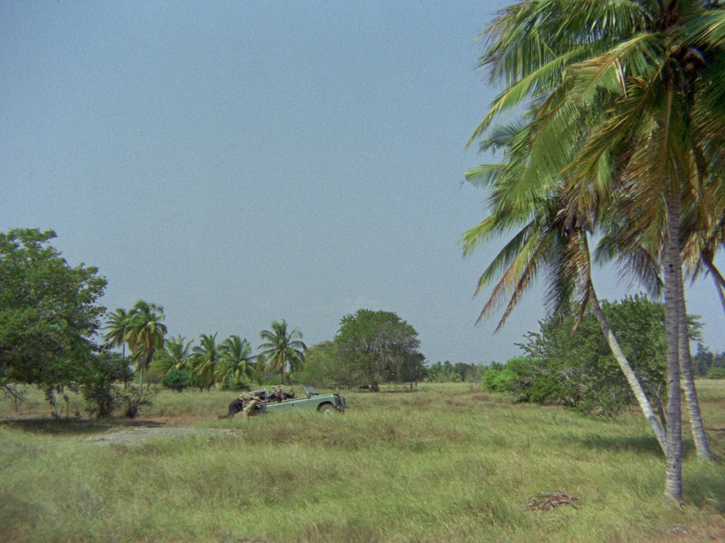 Riusciranno i nostri eroi a ritrovare l'amico misteriosamente scomparso in Africa? (1968) —  shot,  lighting