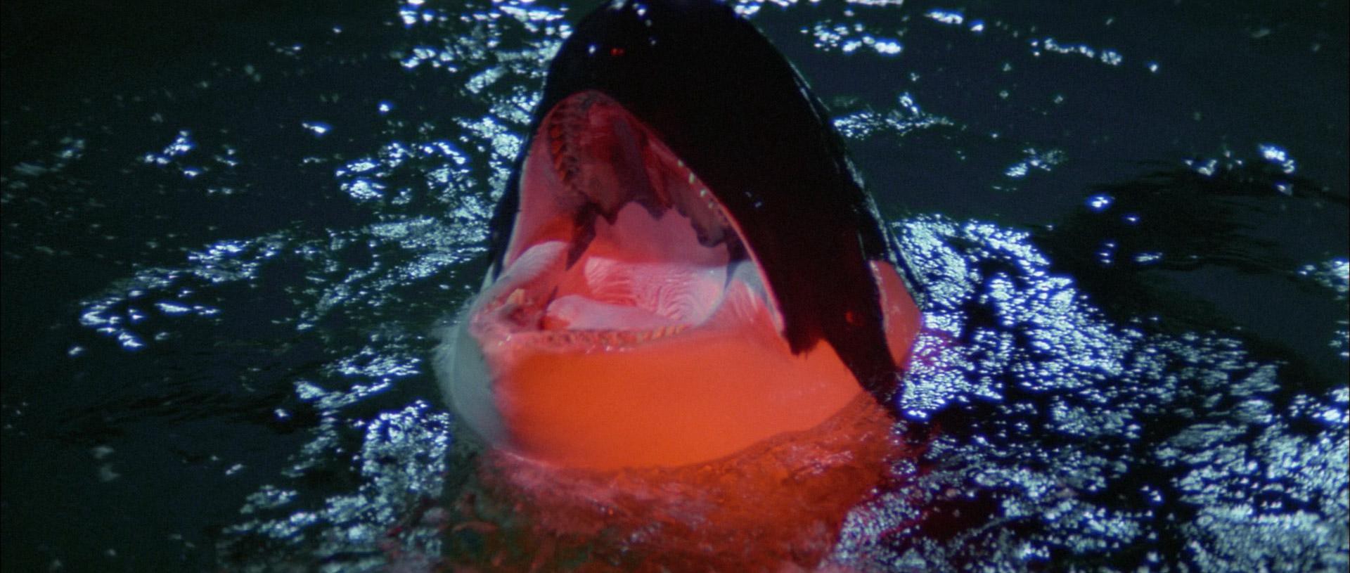 Orca (1977) —  shot,  lighting