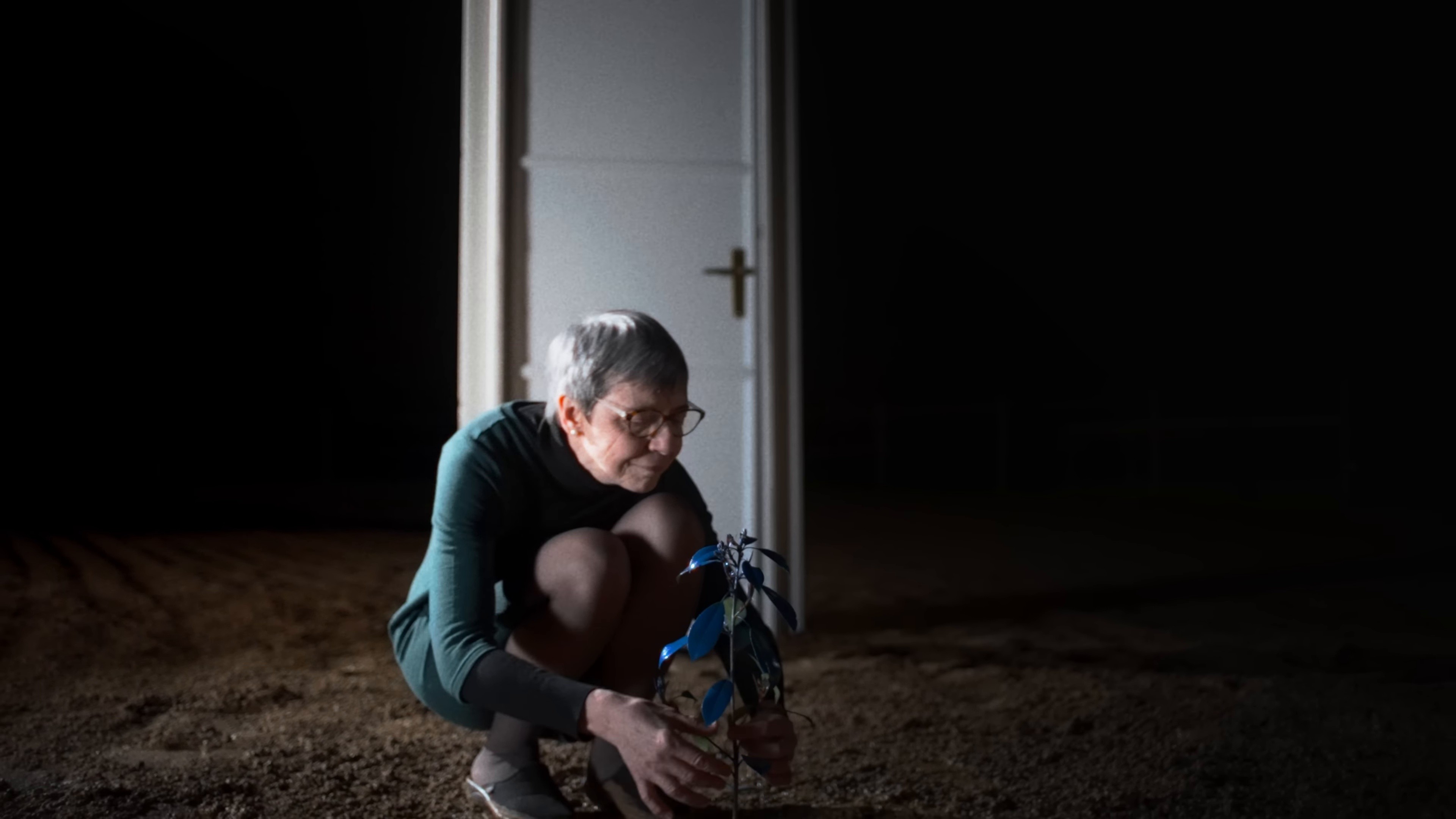 PICCOLO ME (2025) —  shot,  lighting