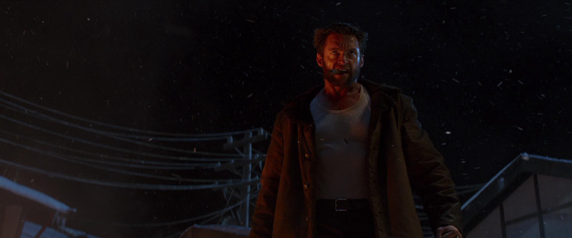 The Wolverine (2013) —  shot,  lighting