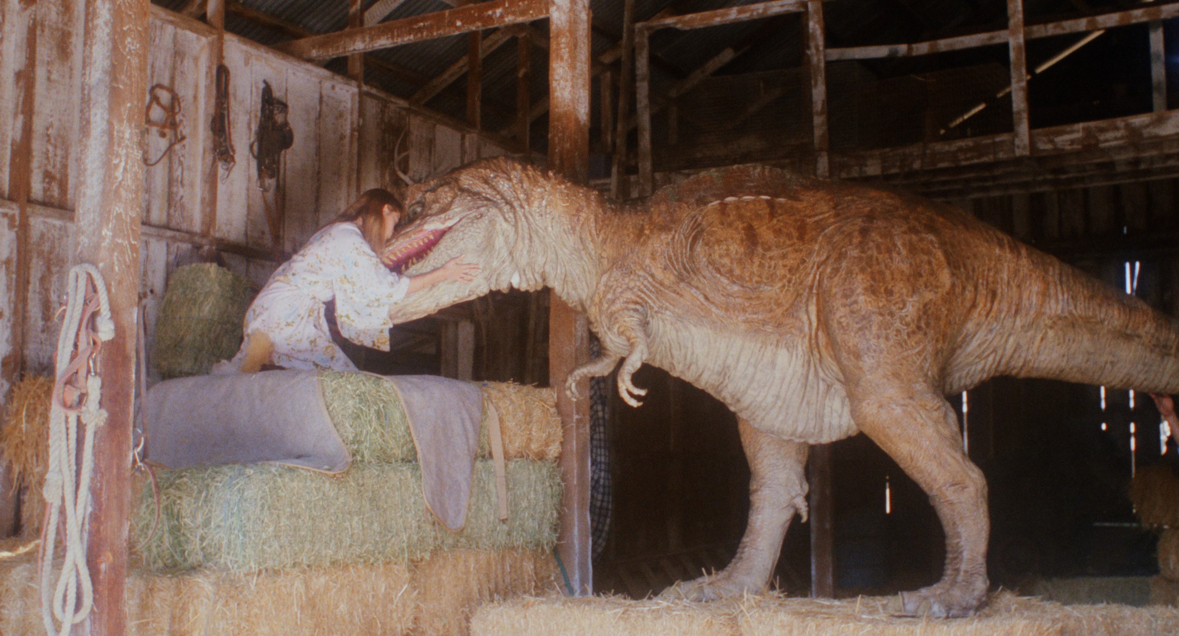 Tammy and the T-Rex (1994) —  shot,  lighting