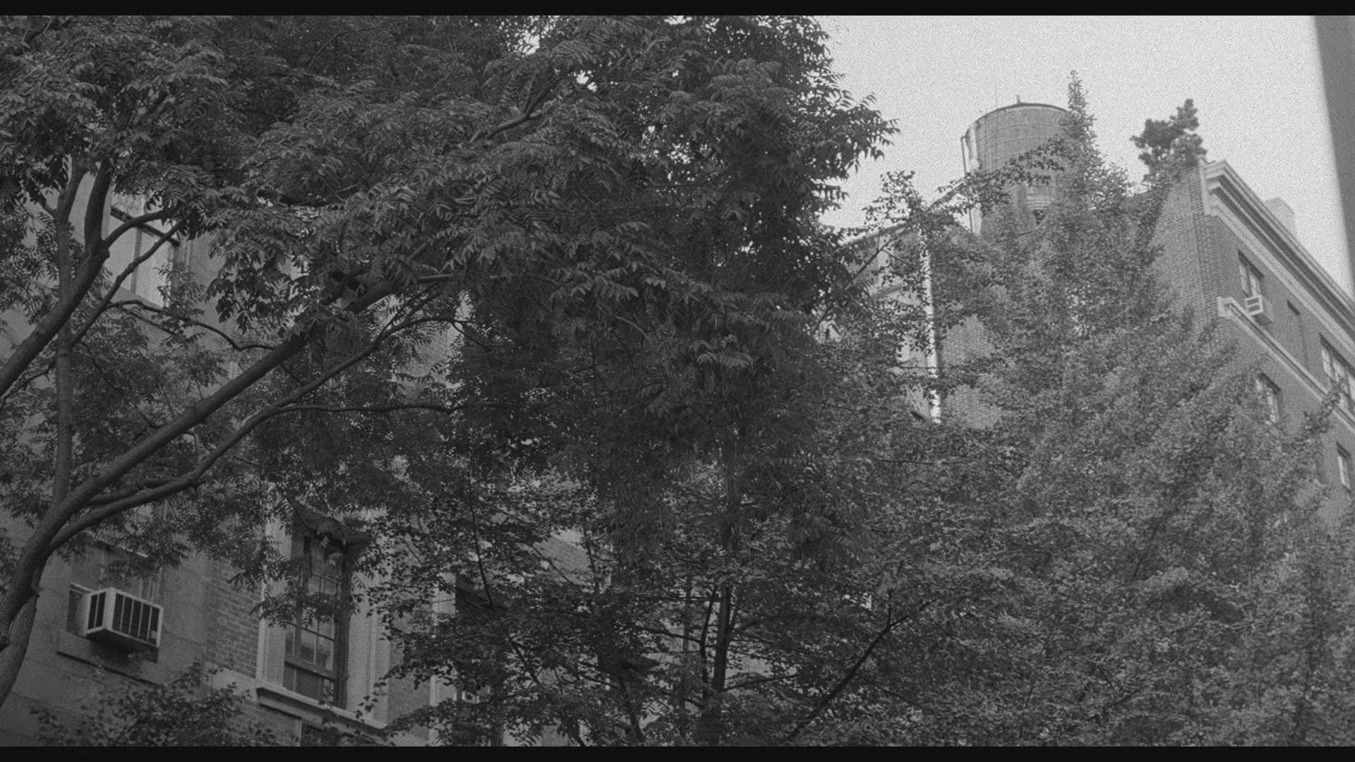 The Addiction (1995) —  shot,  lighting