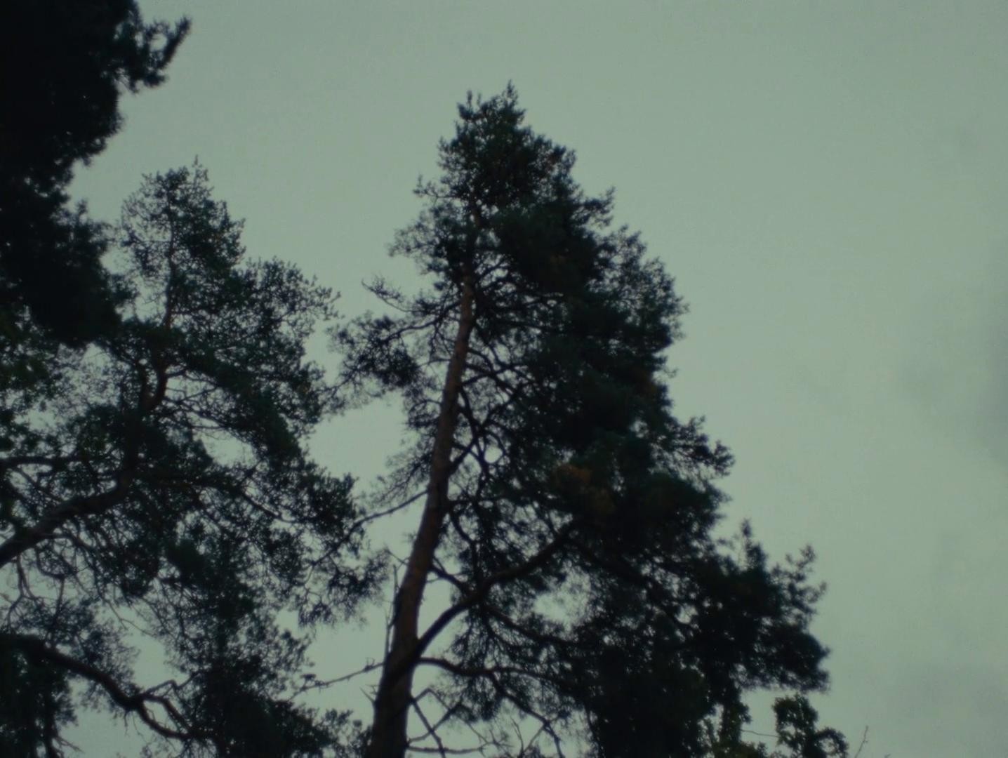 Sista helgen med Jenny och John (2023) —  shot,  lighting