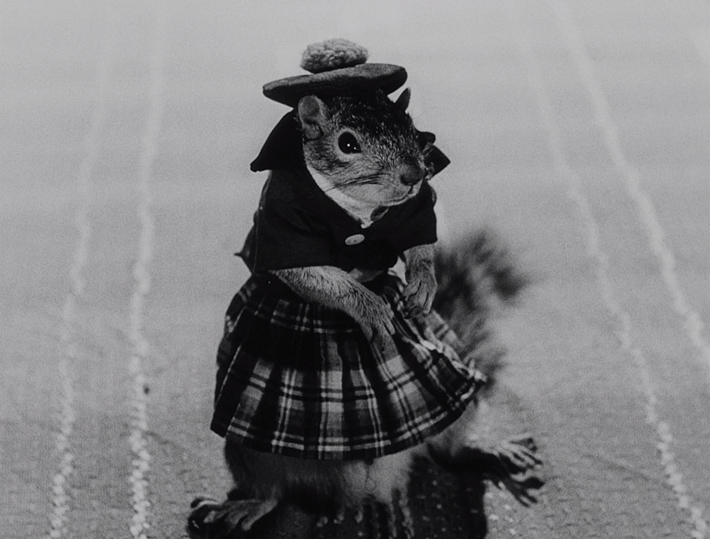 The Great Rupert (1950) —  shot,  lighting