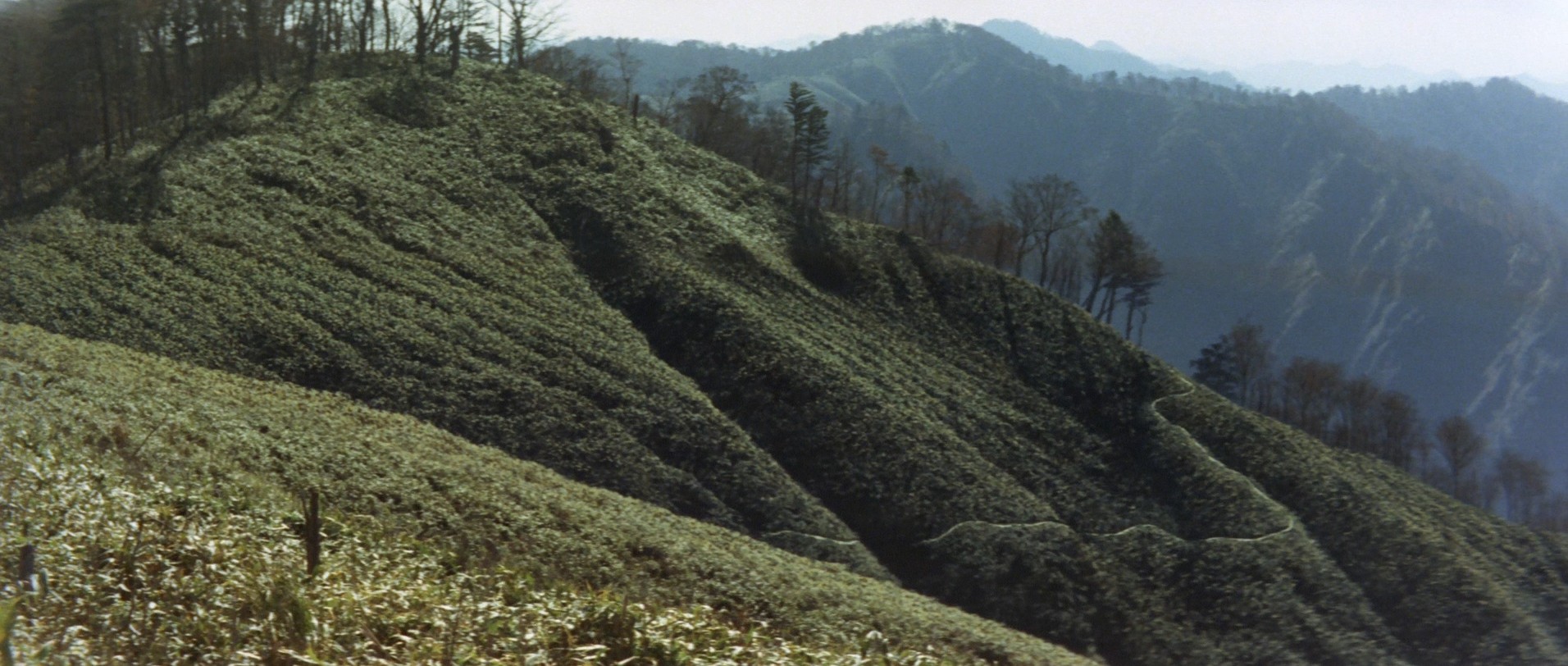 Wrath of Daimajin (1966) —  shot,  lighting