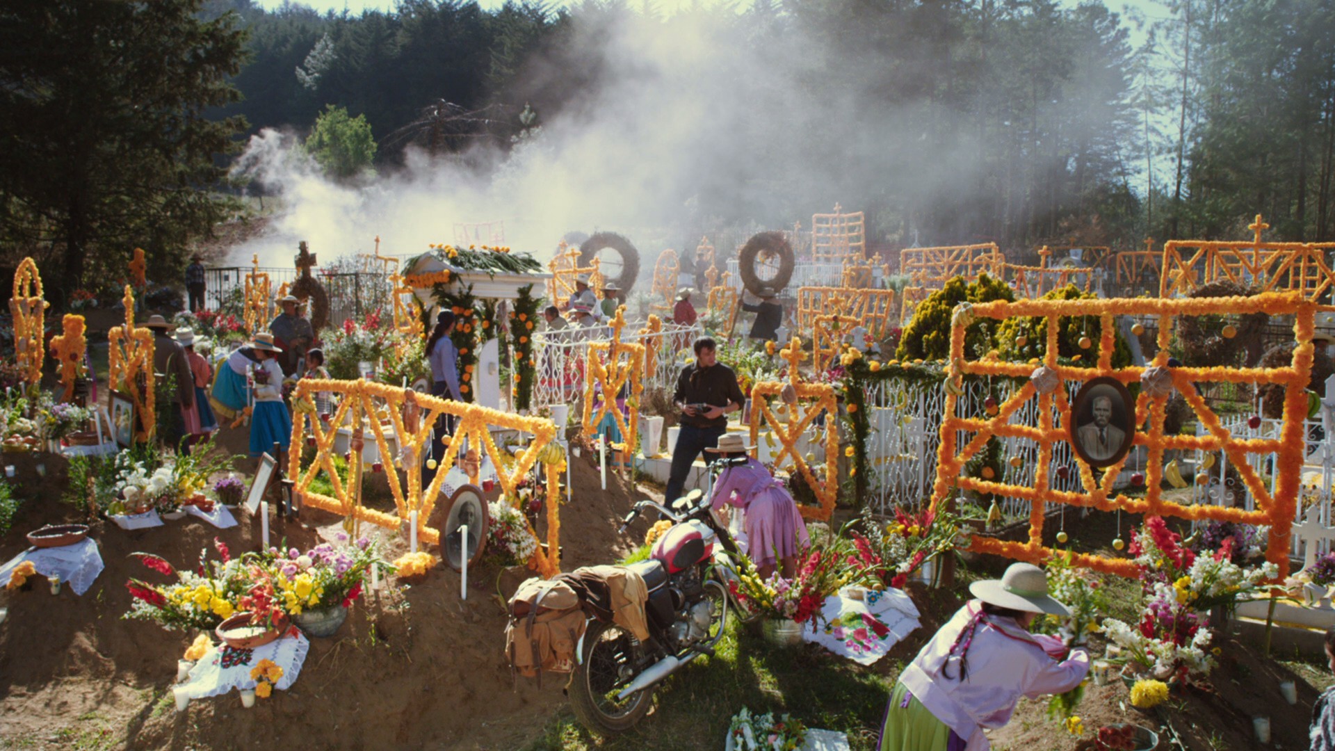 Flight of the Butterflies (2012) —  shot,  lighting