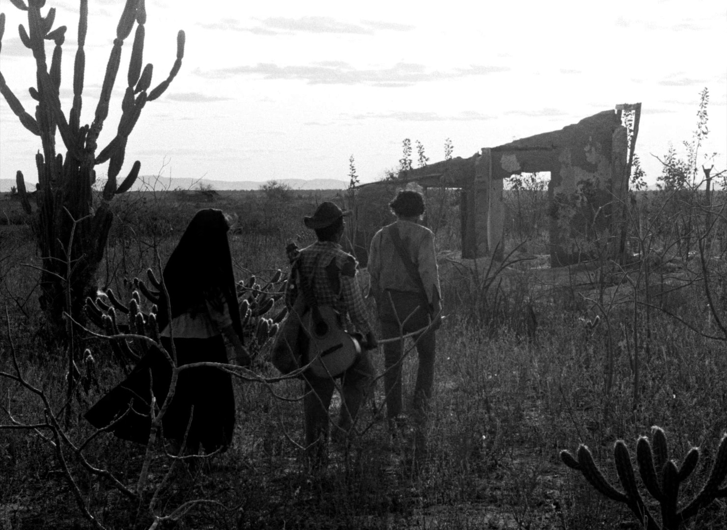 Black God, White Devil (1964) —  shot,  lighting