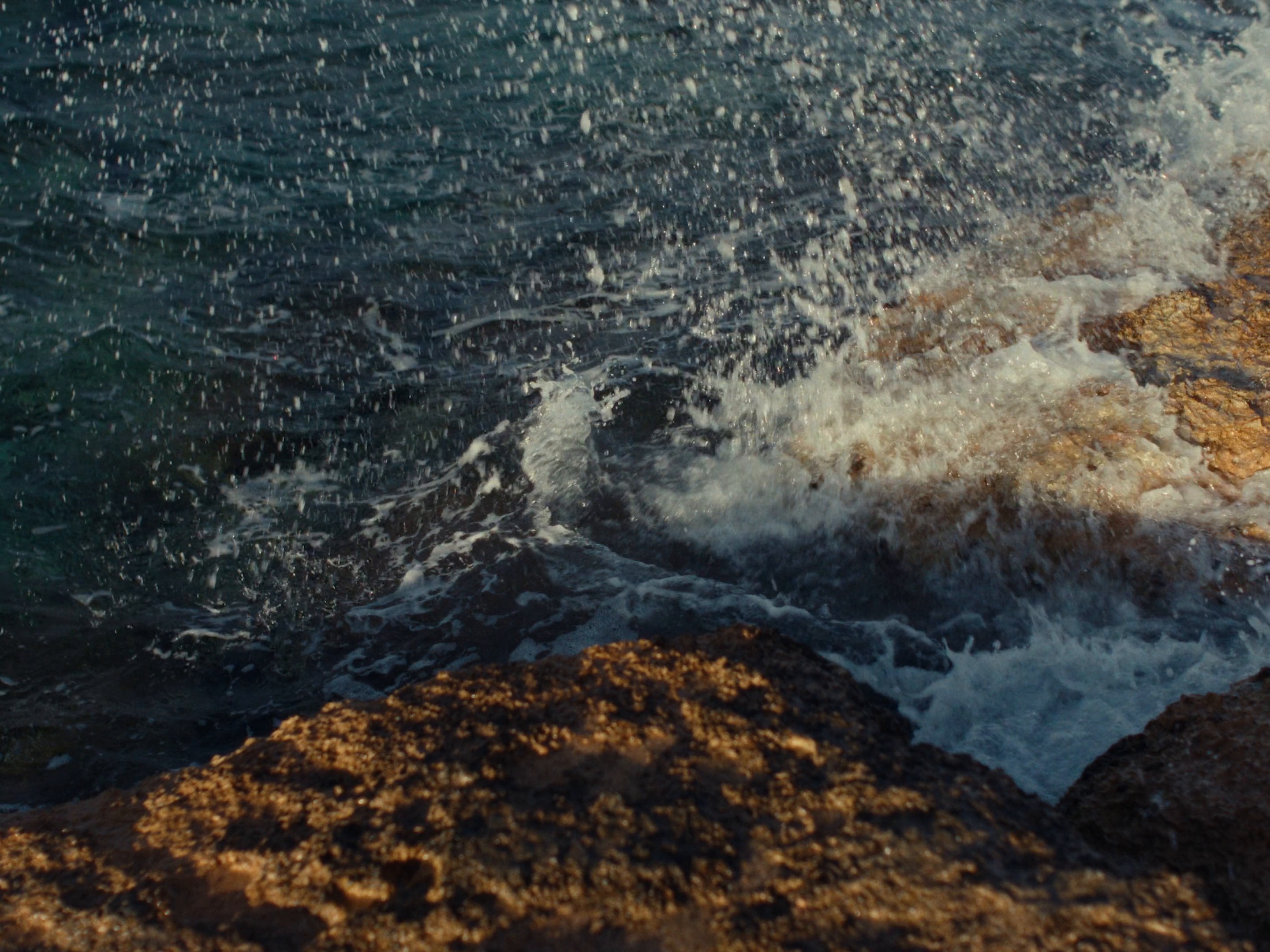 The Subtle Things - Alfa Beer (2024) —  shot,  lighting