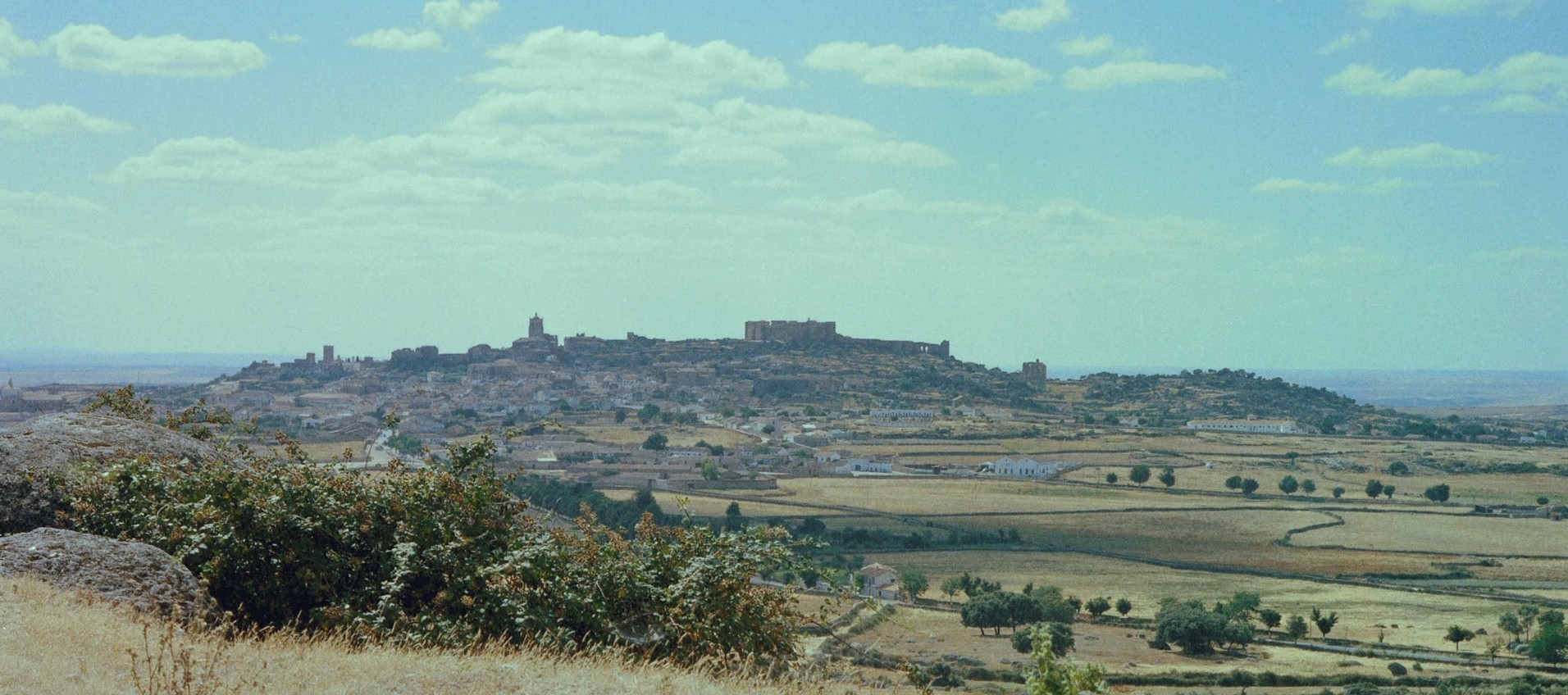 La tulipe noire (1964) —  shot,  lighting