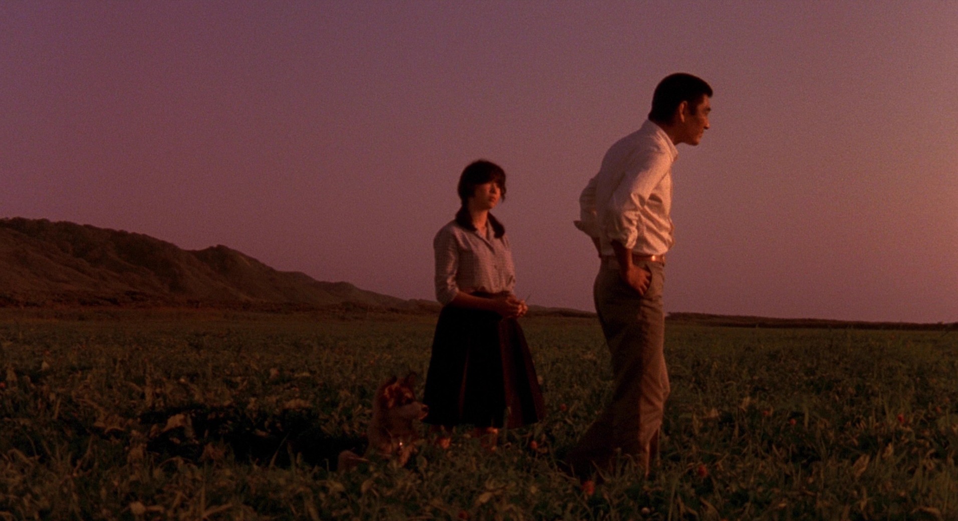 Eight Below (2006) —  shot,  lighting