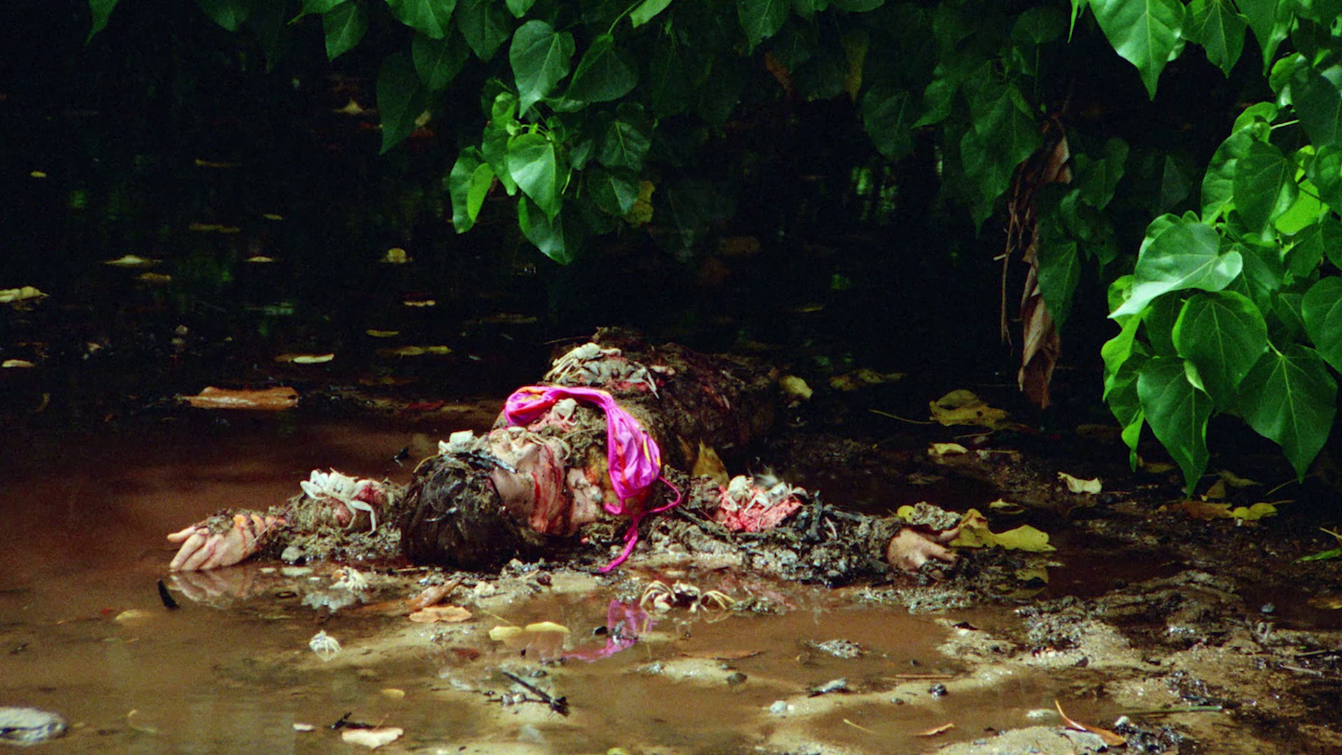 Hard Ticket to Hawaii (1987) —  shot,  lighting