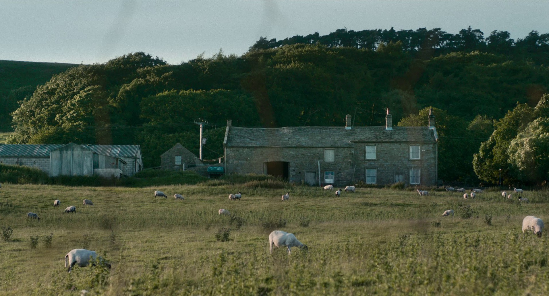 Dark River (2017) —  shot,  lighting