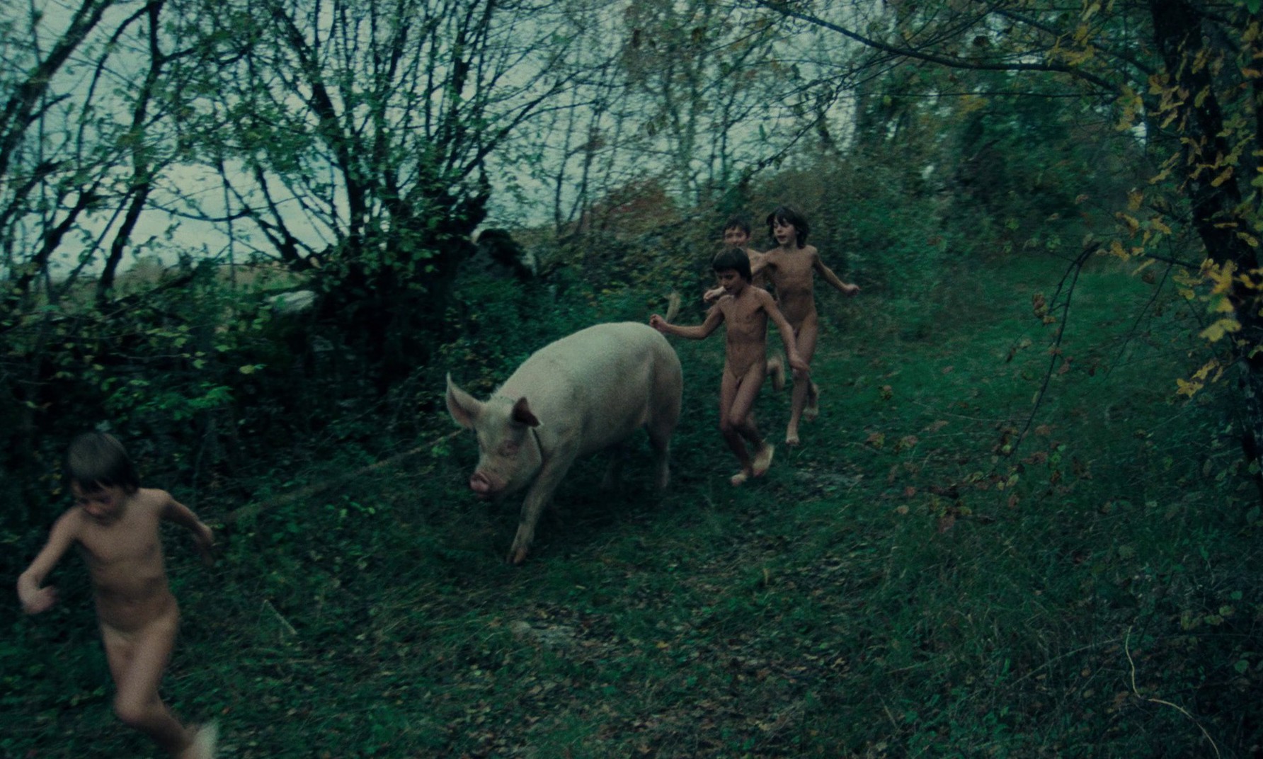 Black Moon (1975) —  shot,  lighting