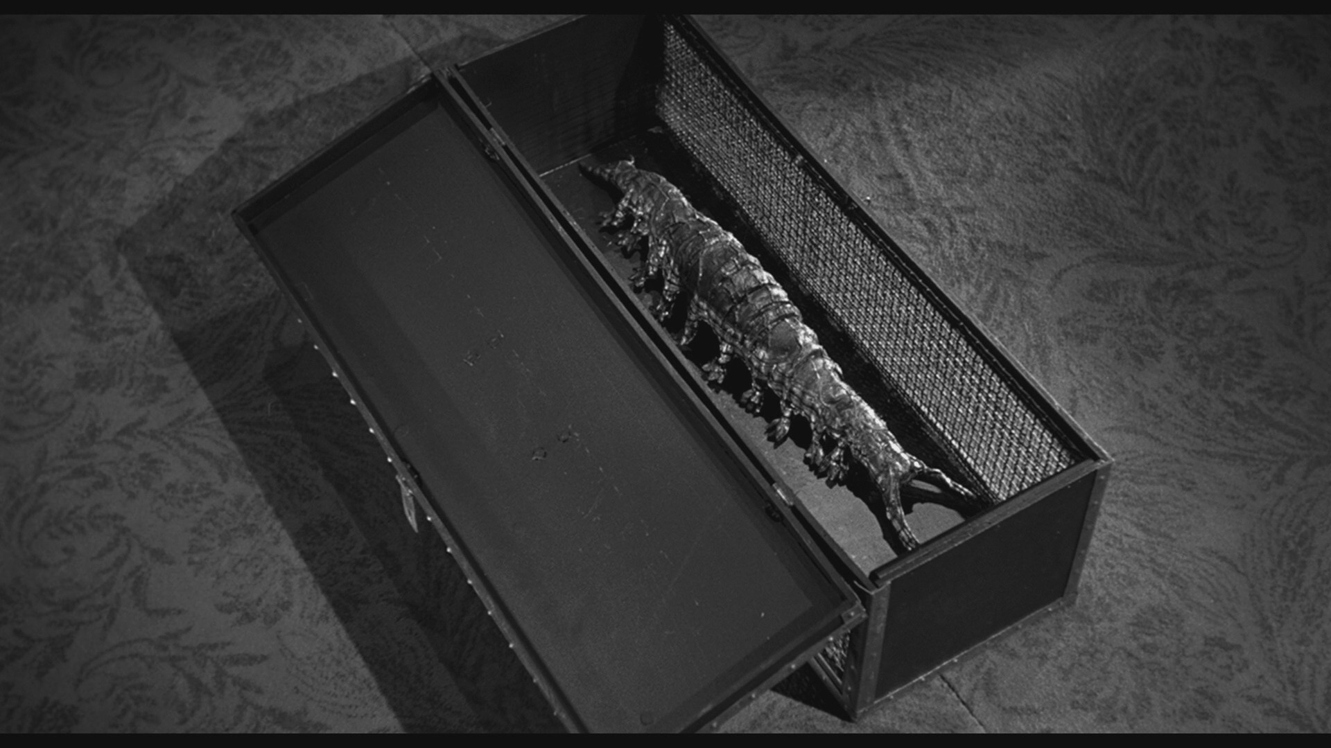 The Tingler (1959) —  shot,  lighting