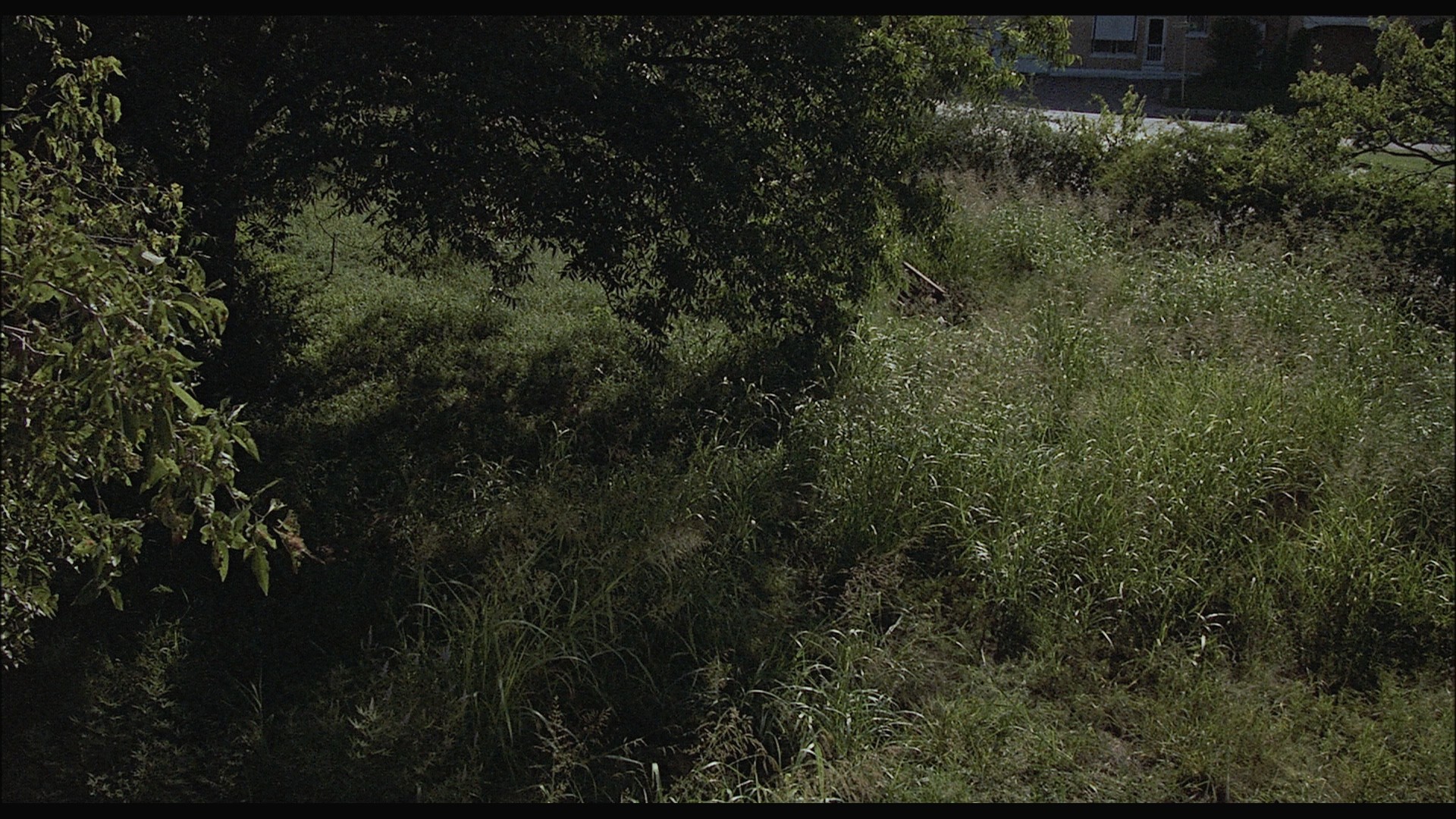 Silent Rage (1982) —  shot,  lighting