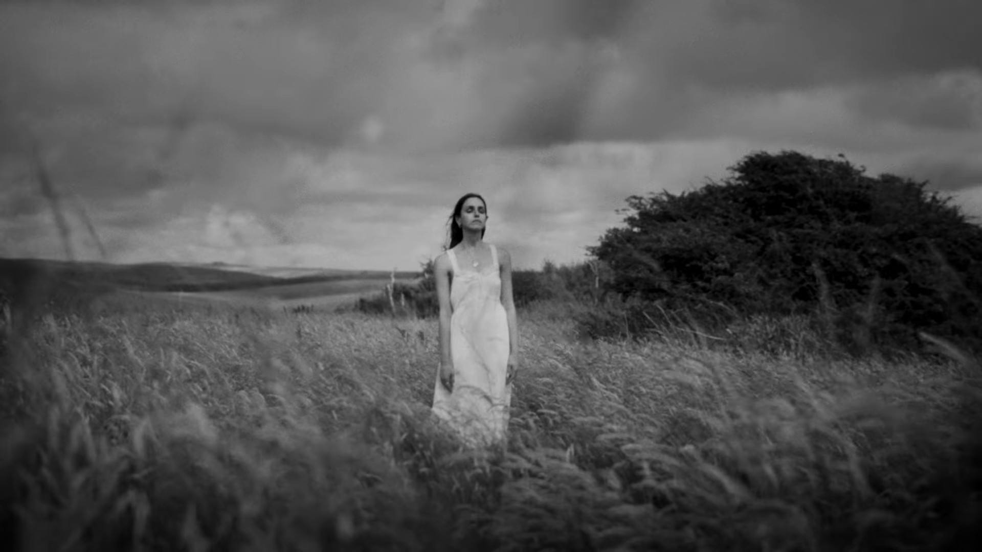 Koalas (2024) —  shot,  lighting