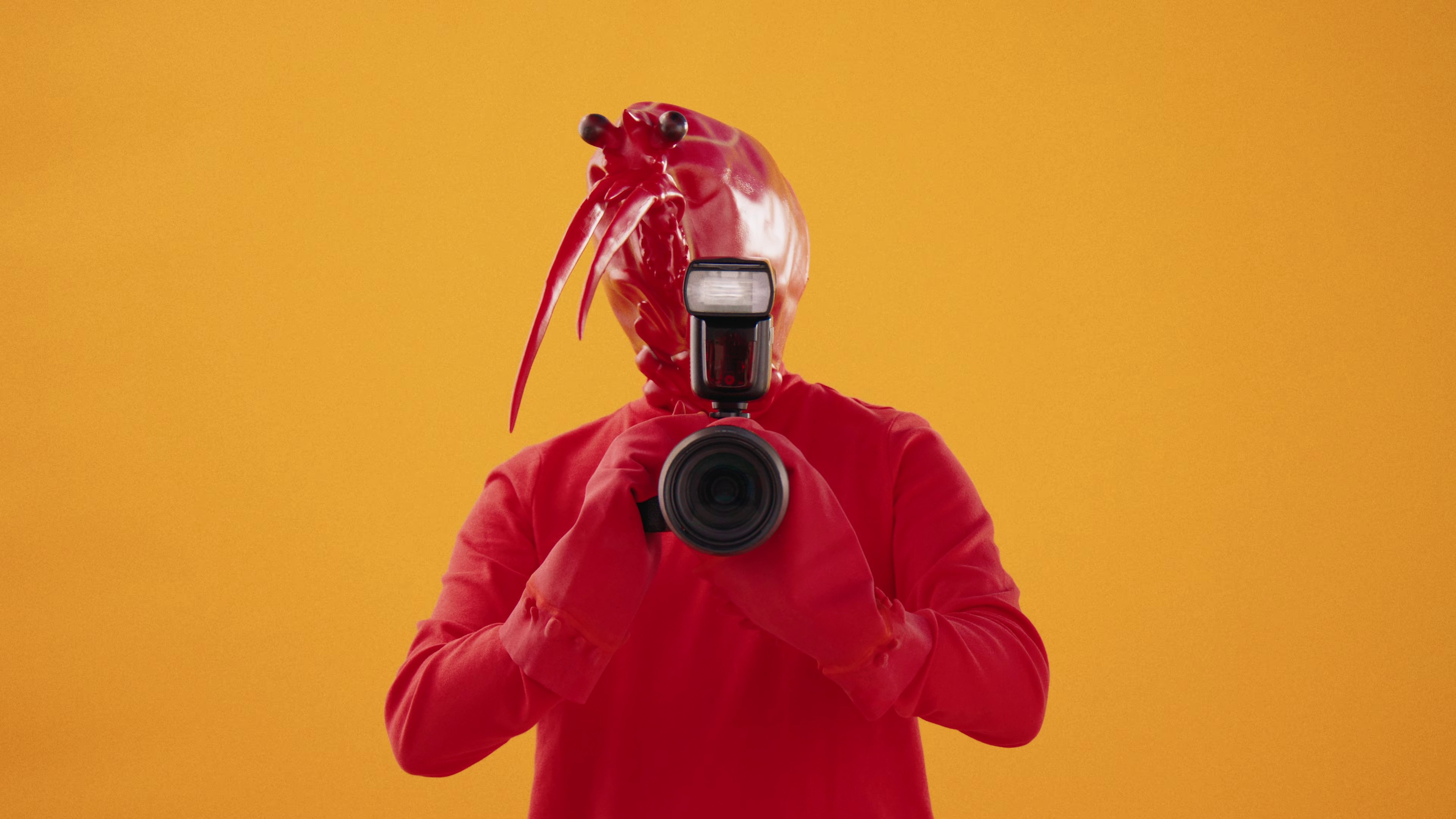 Lobster Popstar (2024) —  shot,  lighting