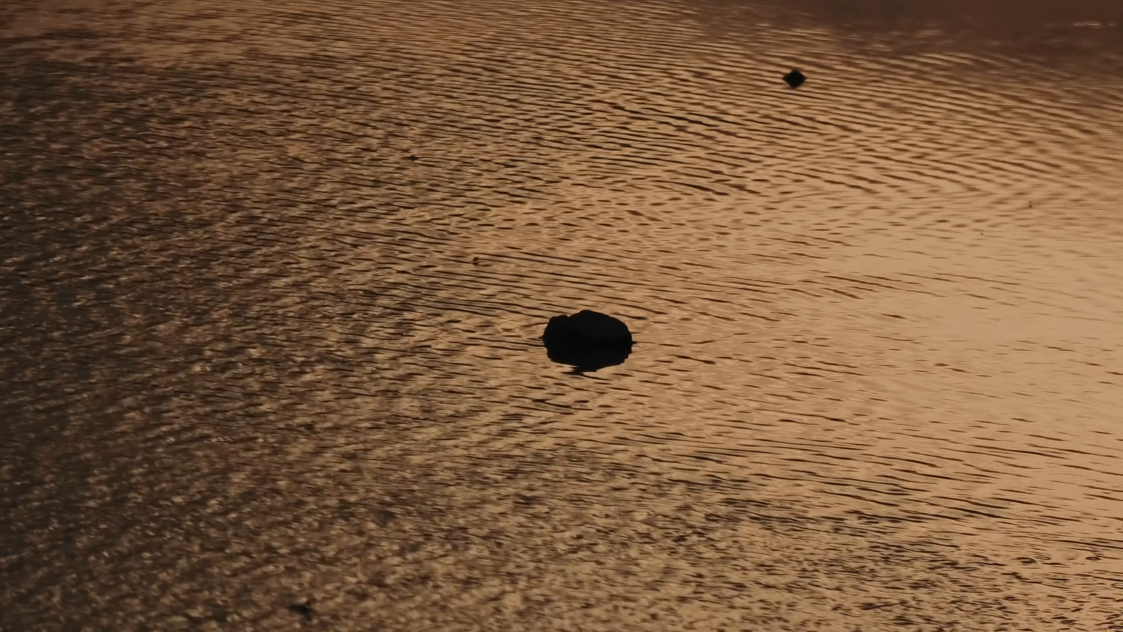 As Tendrils of Smoke (2024) —  shot,  lighting