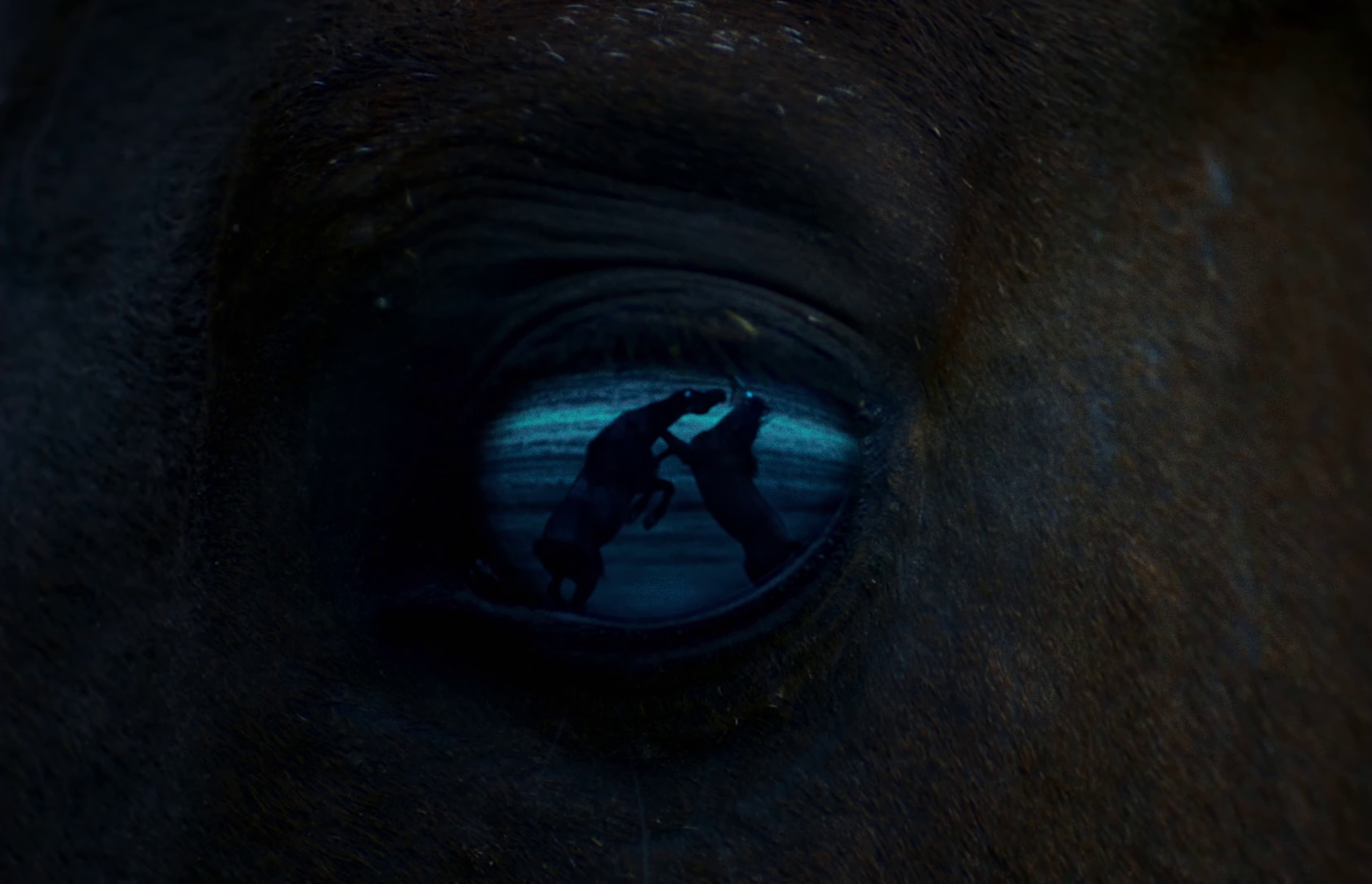 Habaytak (2023) —  shot,  lighting