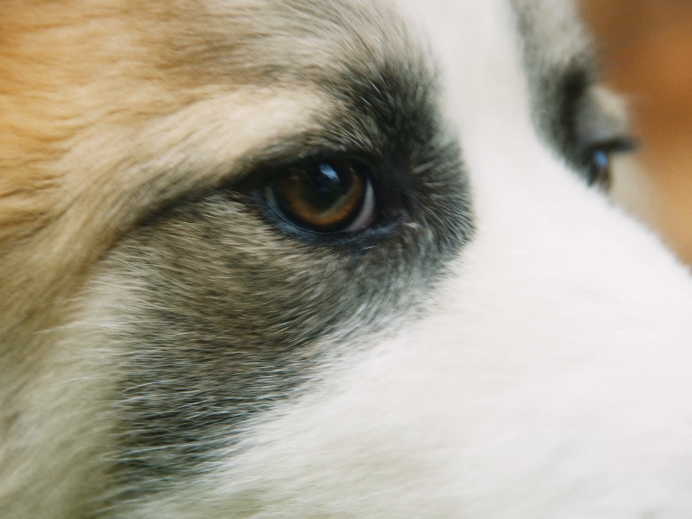 The North Face | Nichole Abma (2024) —  shot,  lighting