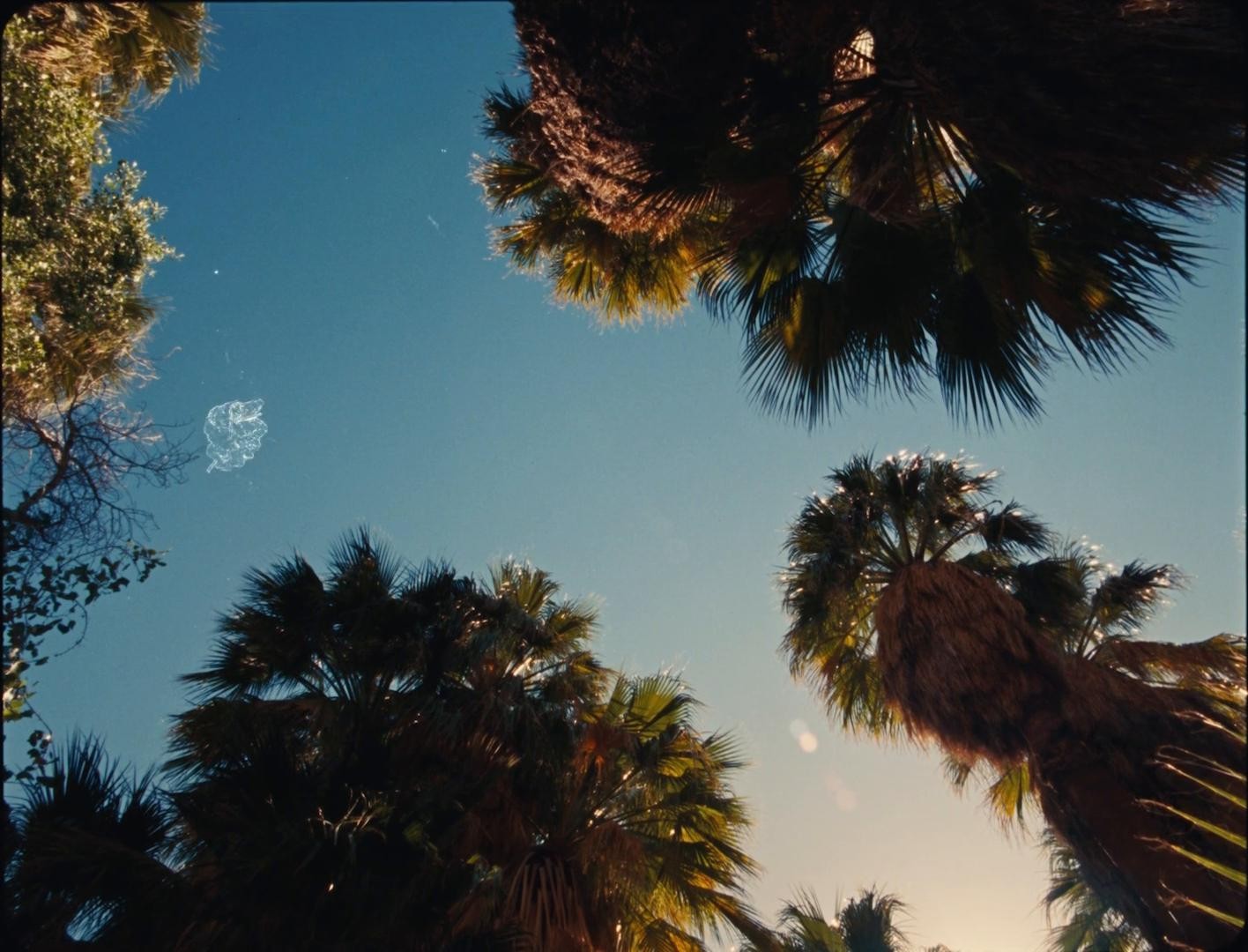 Wonder Valley (2024) —  shot,  lighting