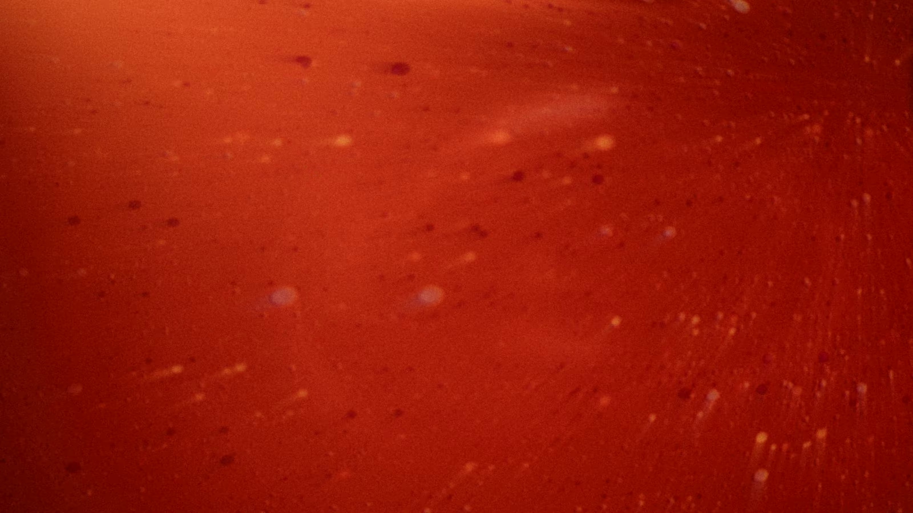 Strange World (2024) —  shot,  lighting