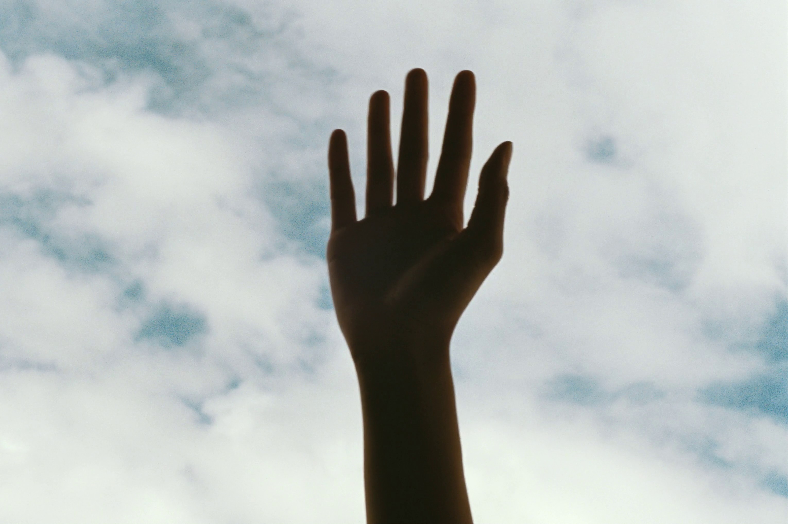 Zalando x Lululemon (2024) —  shot,  lighting